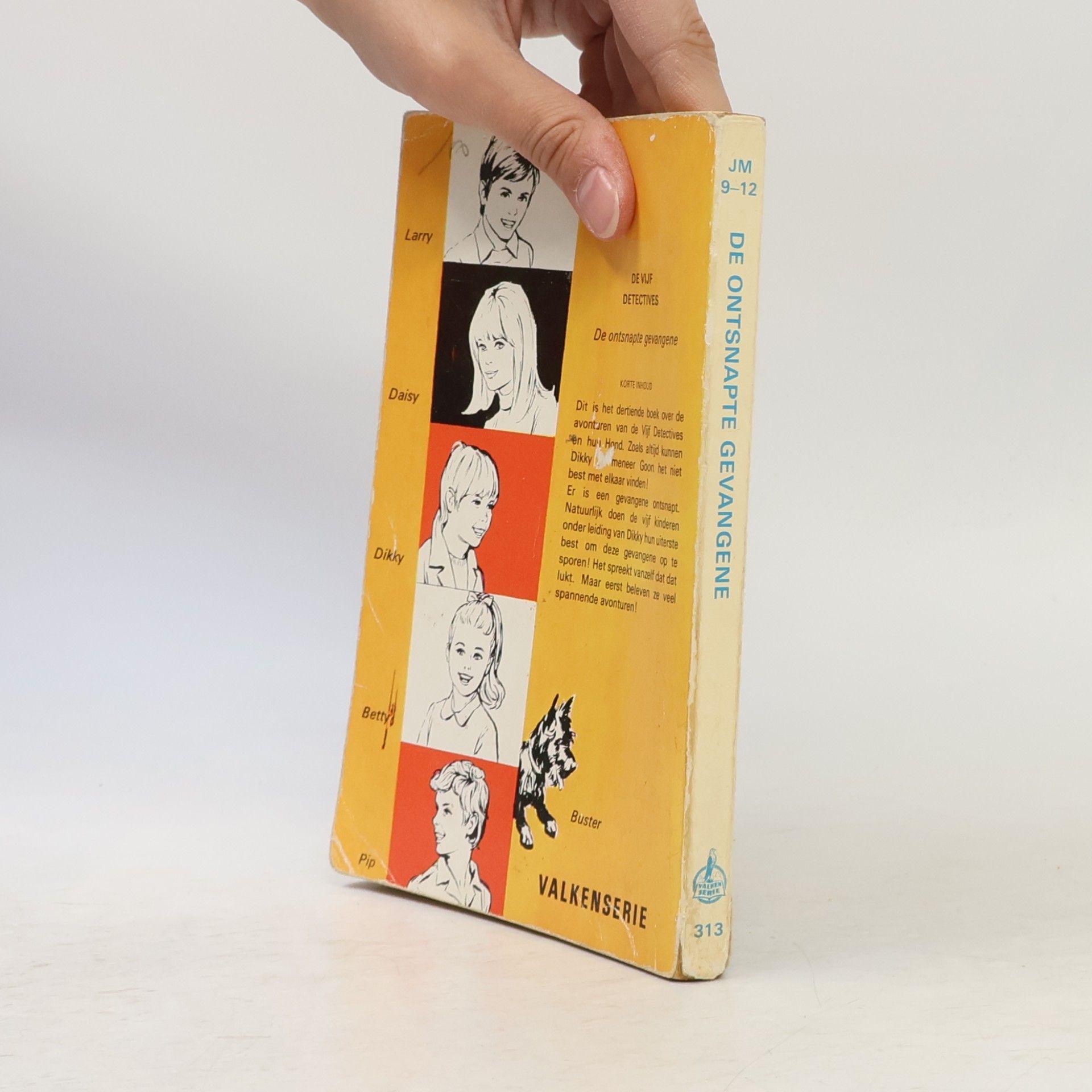 Enid Blyton De Vijf Detectives: De Ontsnapte gevangene