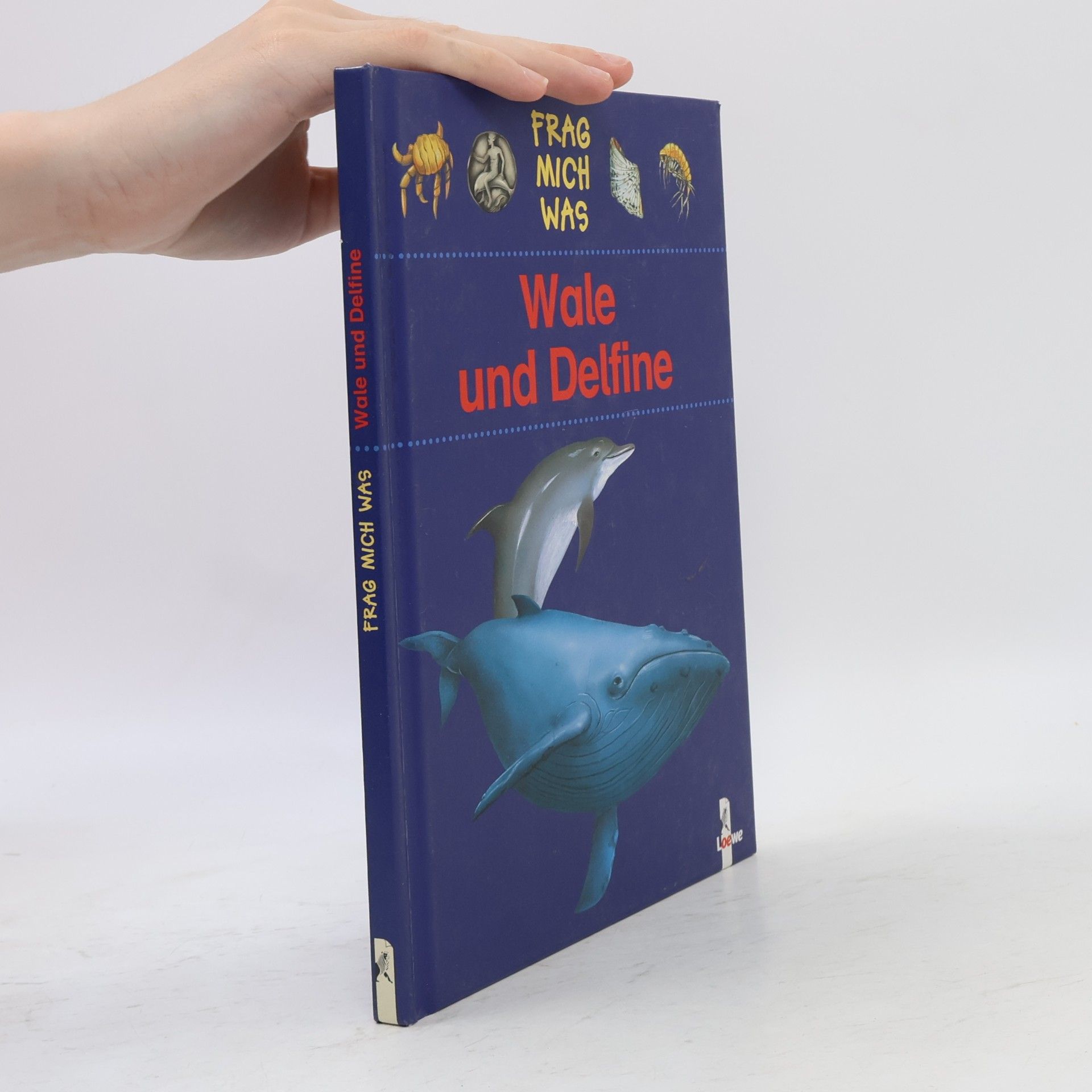 Kolektiv autorů Wale und Delfine