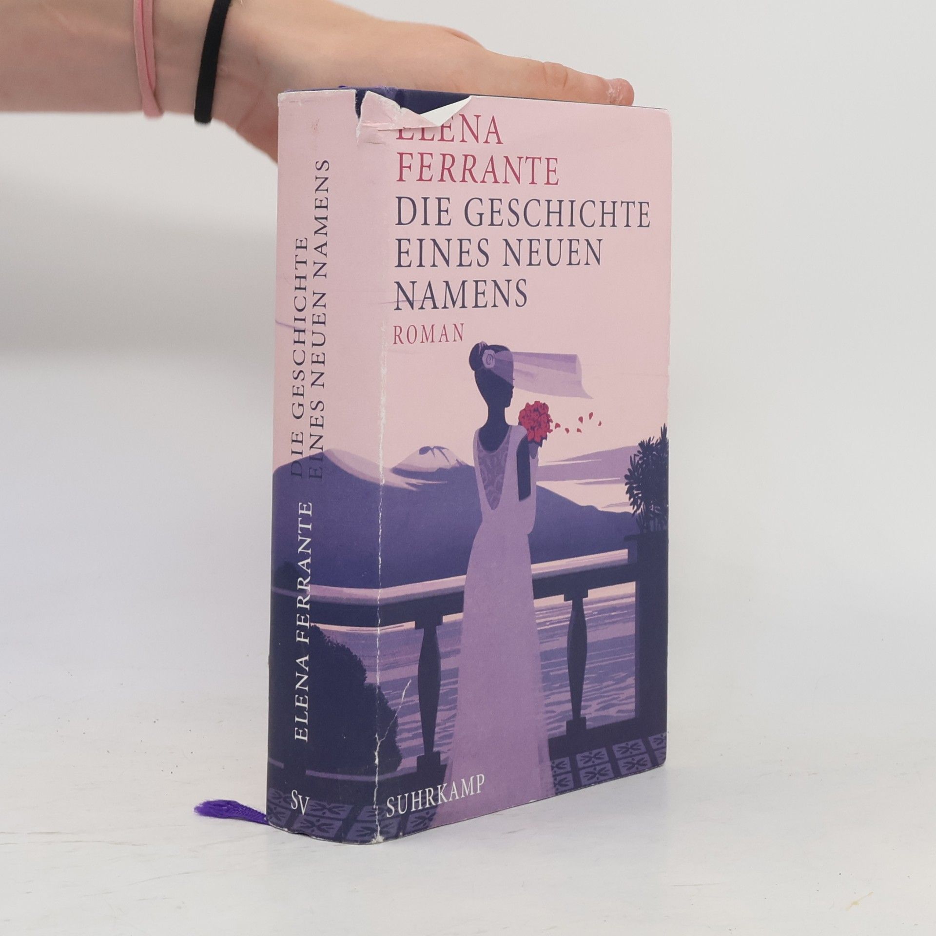 Elena Ferrante Die Geschichte eines neuen Namens: Jugendjahre