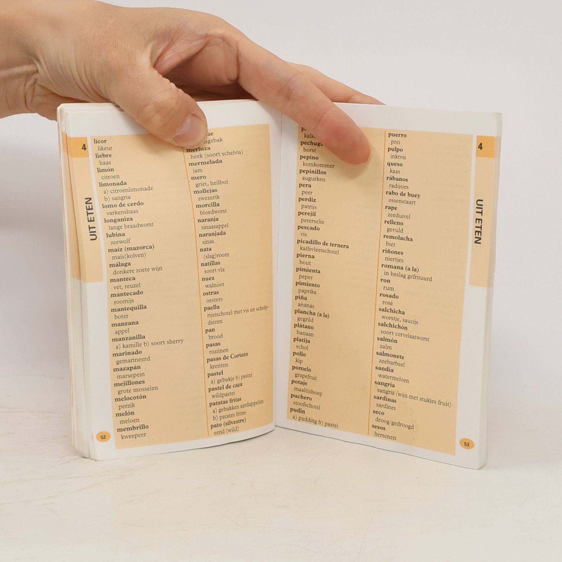 Van Dale Lexicografie Wat & Hoe: Spaans