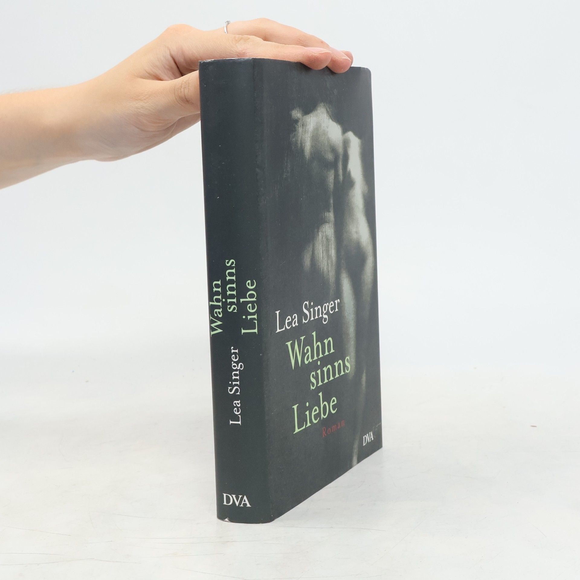 Lea Singer Wahnsinns Liebe
