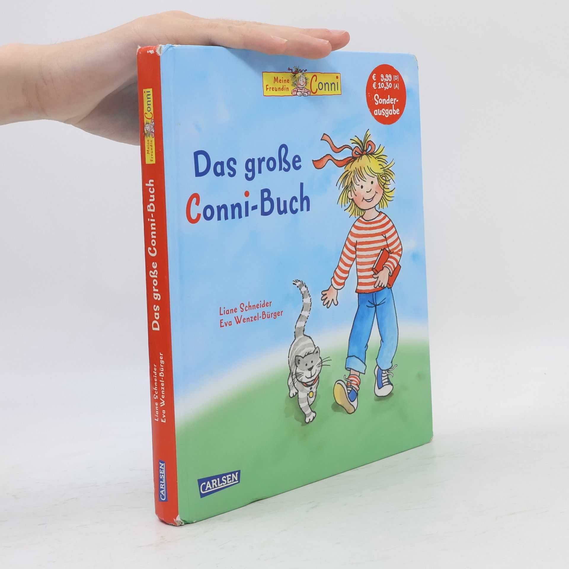 Liane Schneider Das große Conni-Buch