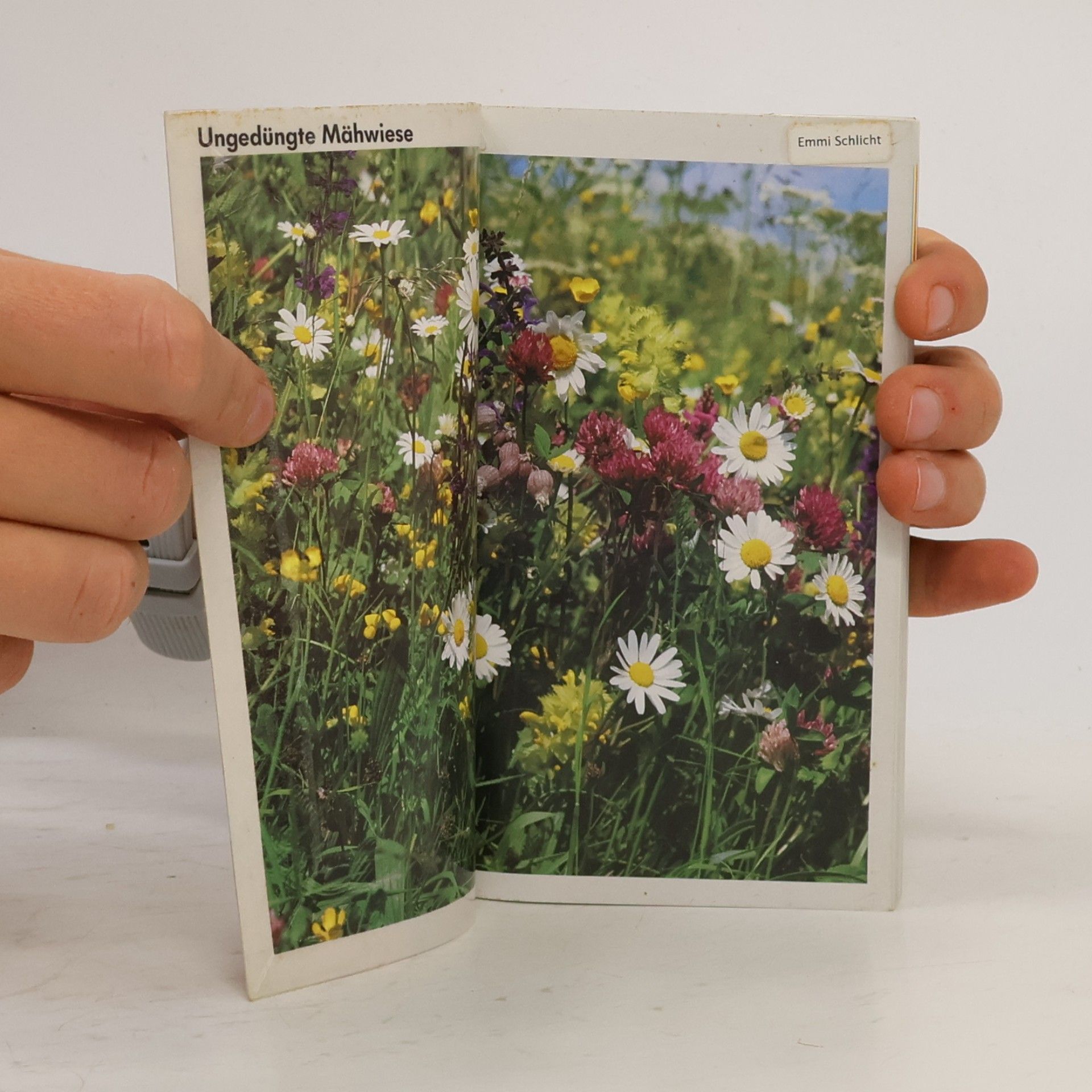 Wolfgang Lippert GU-Maxi-Kompass Blumen