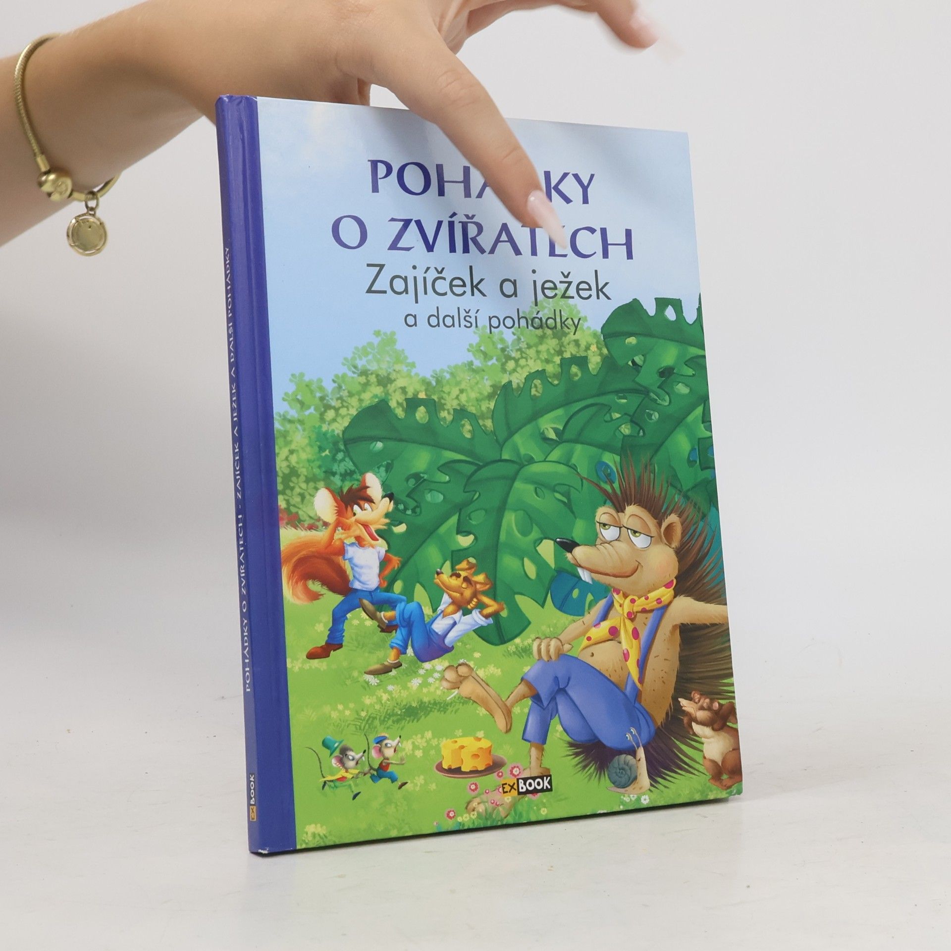 Collectif d'auteurs Zajíček a ježek a další pohádky