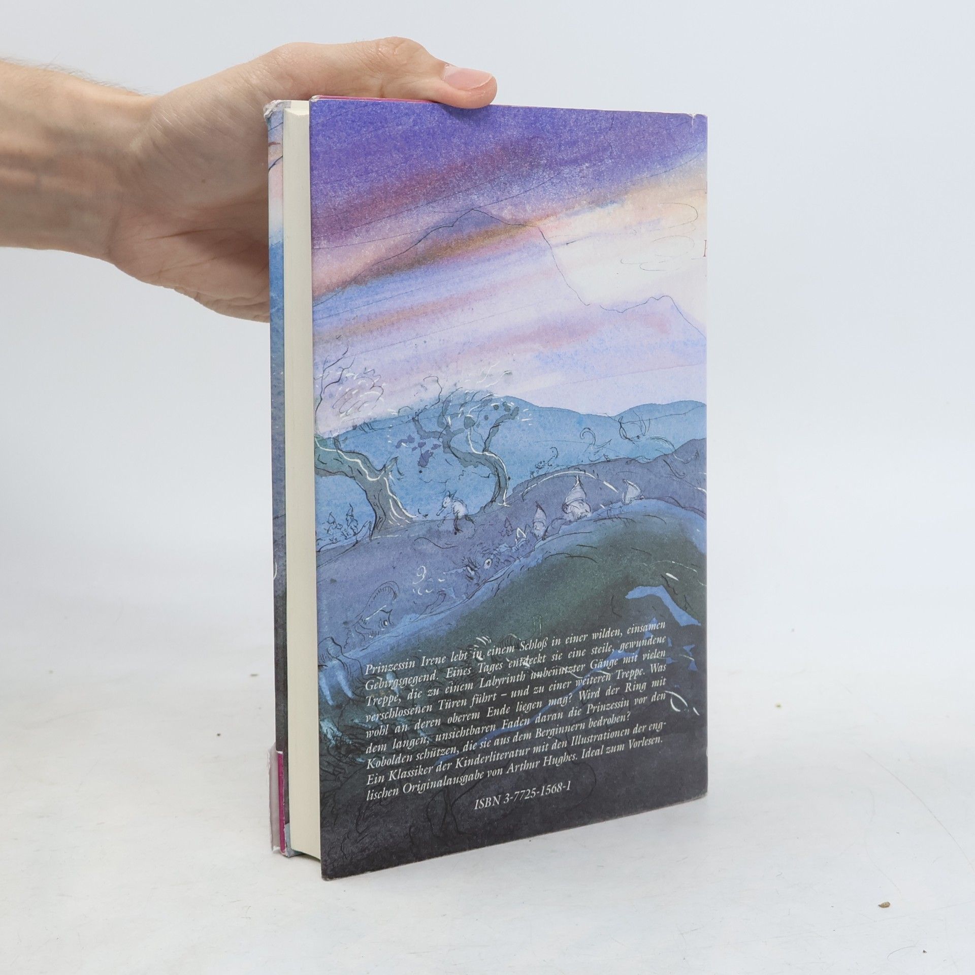 George MacDonald Die Prinzessin und der Kobold