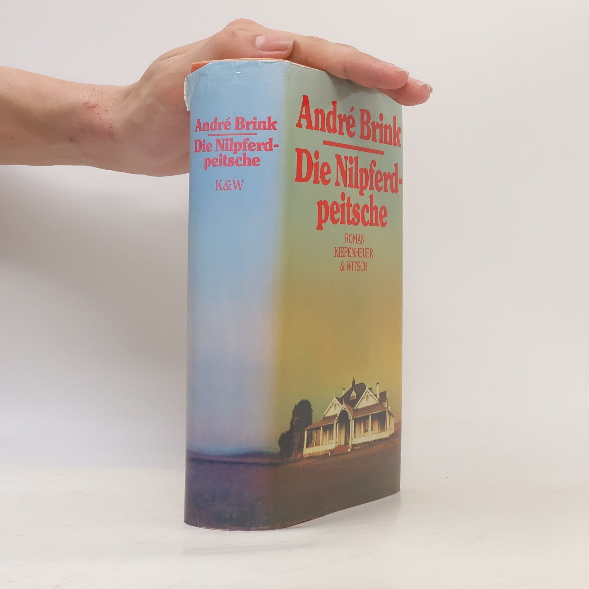 André Brink Die Nilpferdpeitsche