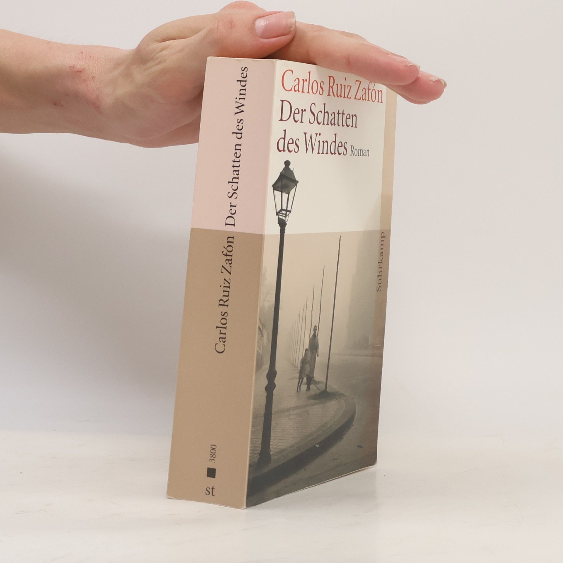 Der Schatten des Windes