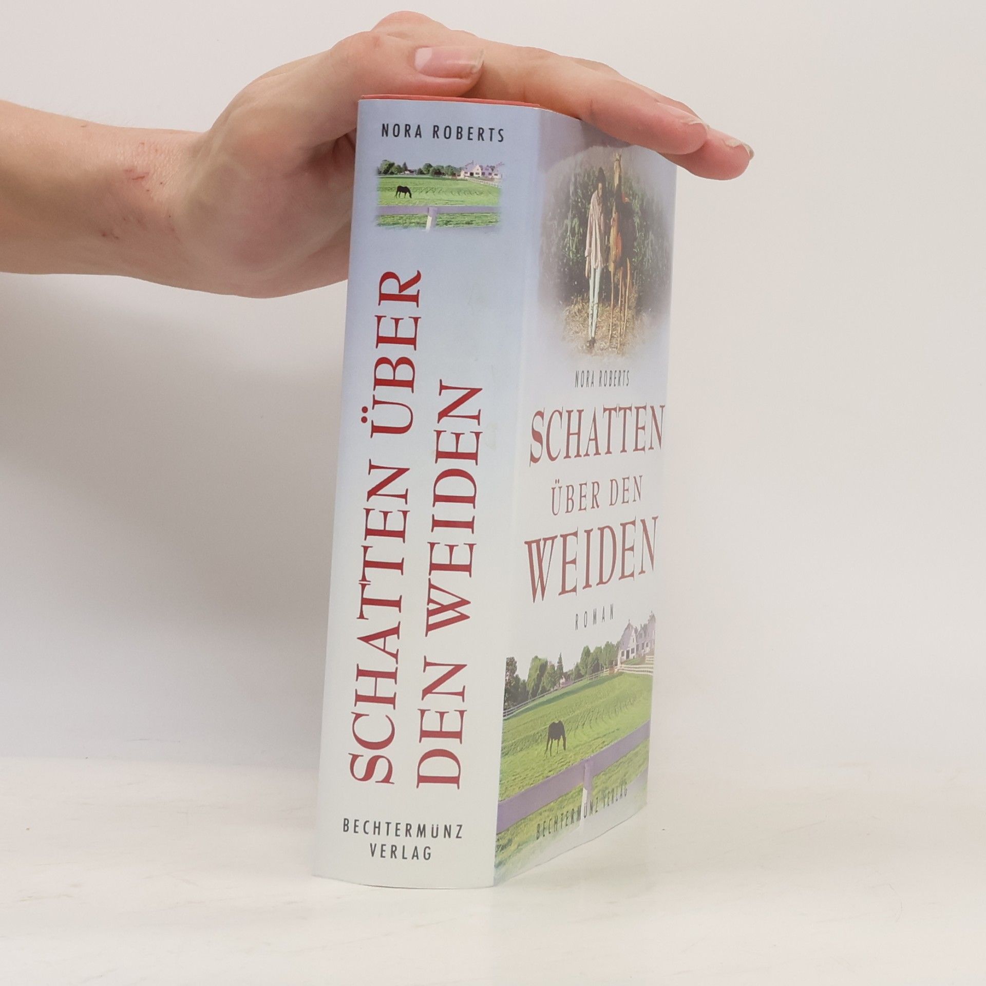 Nora Roberts Schatten über den Weiden