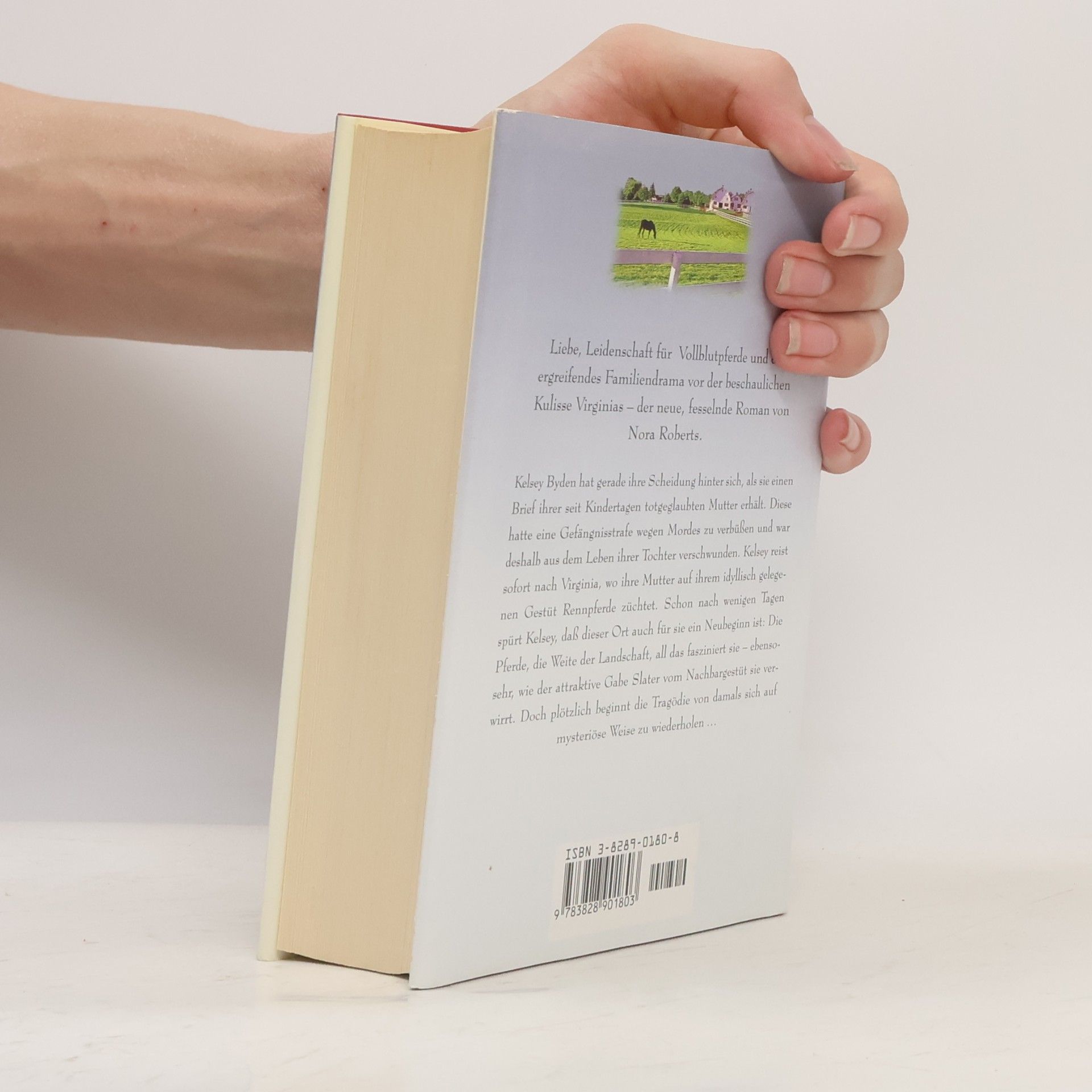 Nora Roberts Schatten über den Weiden