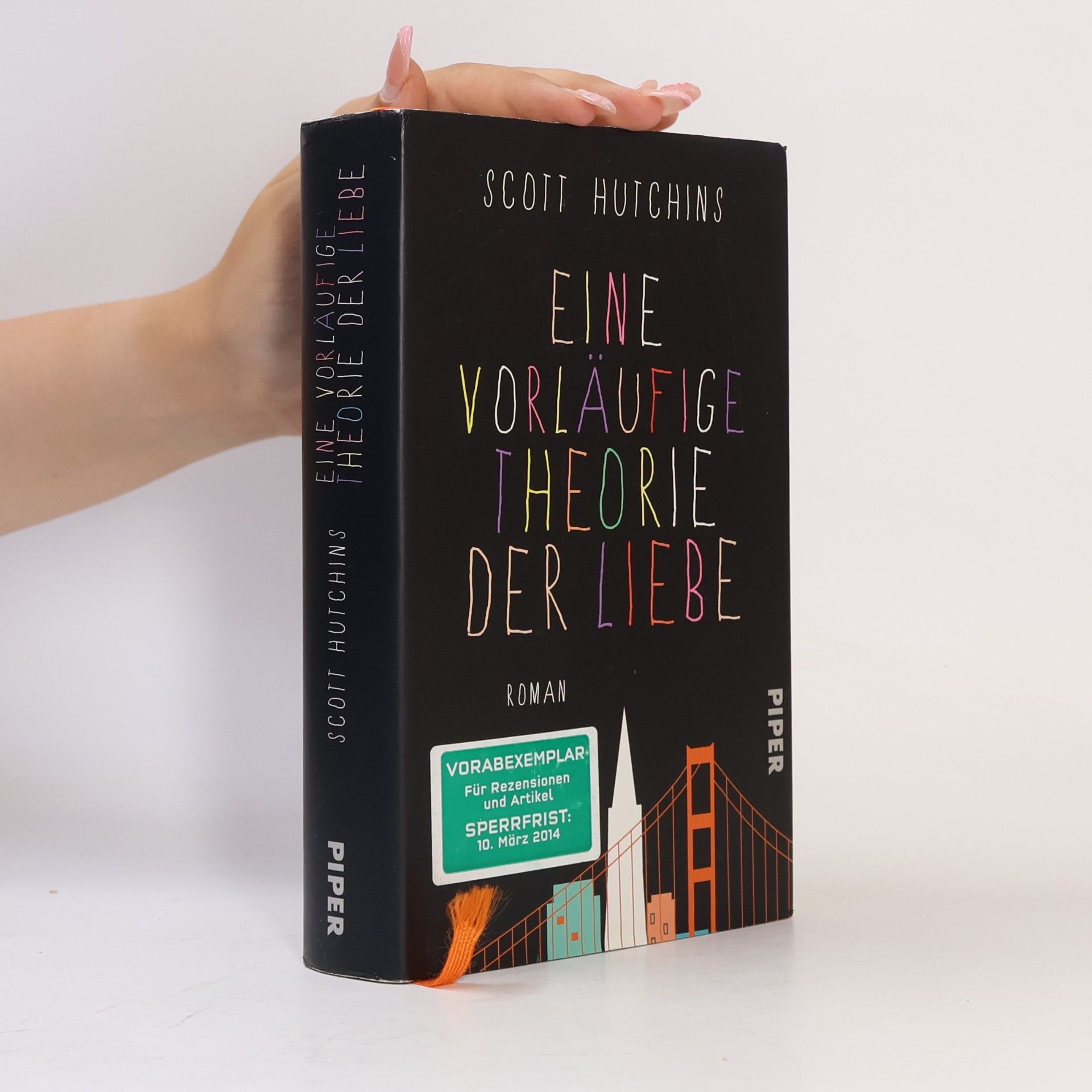 Scott Hutchins Eine vorläufige Theorie der Liebe