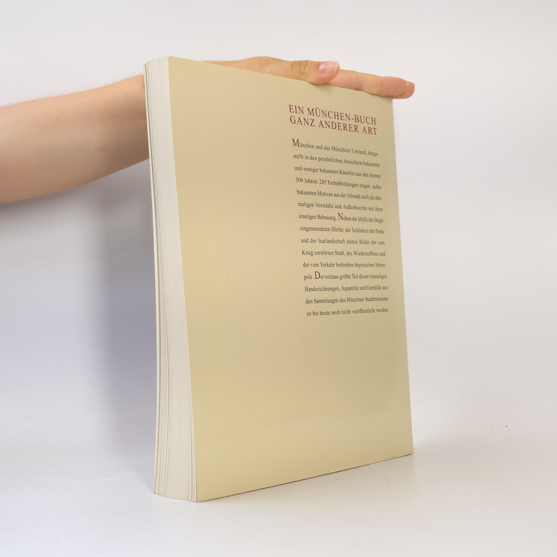 Volker Duvigneau Münchner Stadtbilderbuch