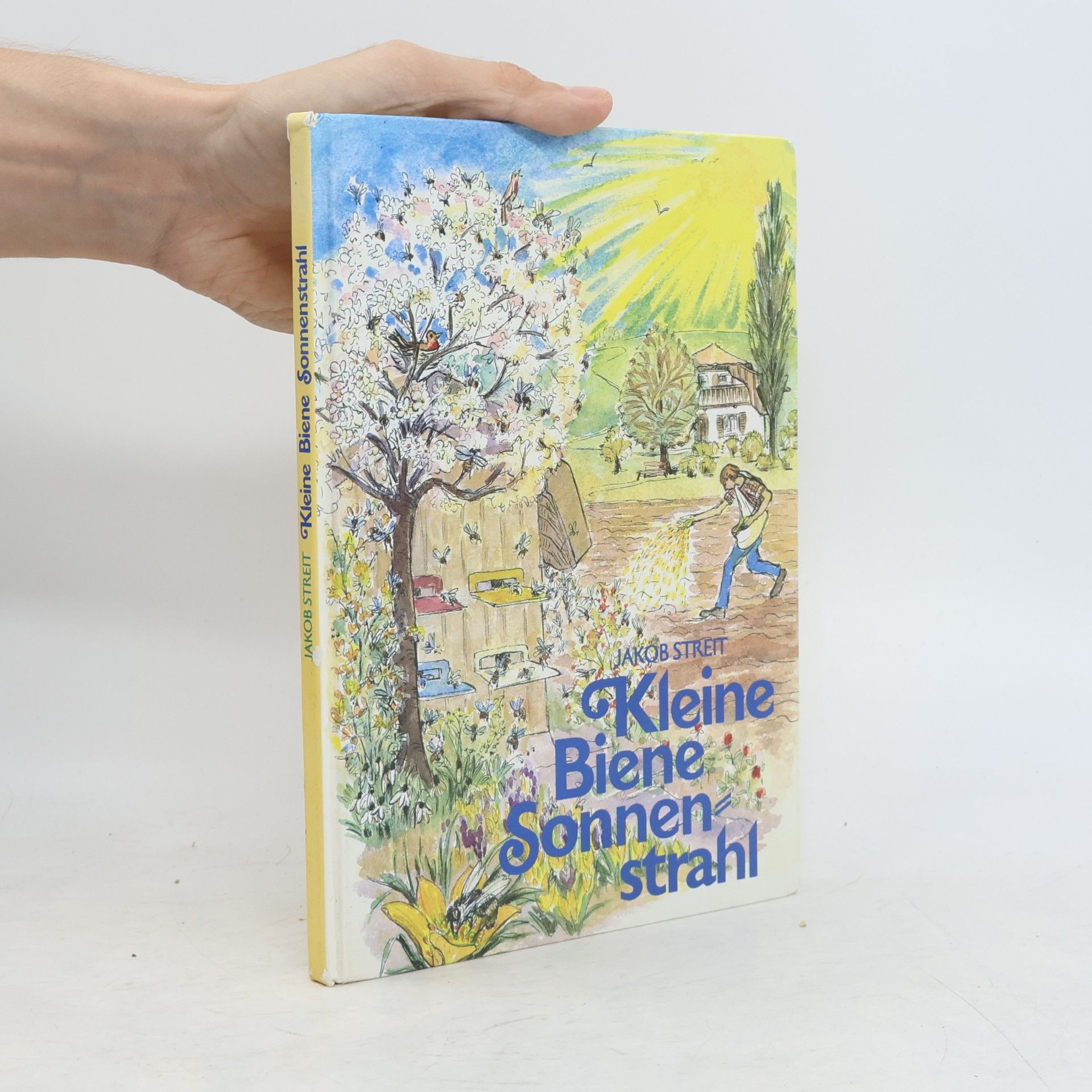 Jakob Streit Kleine Biene Sonnenstrahl