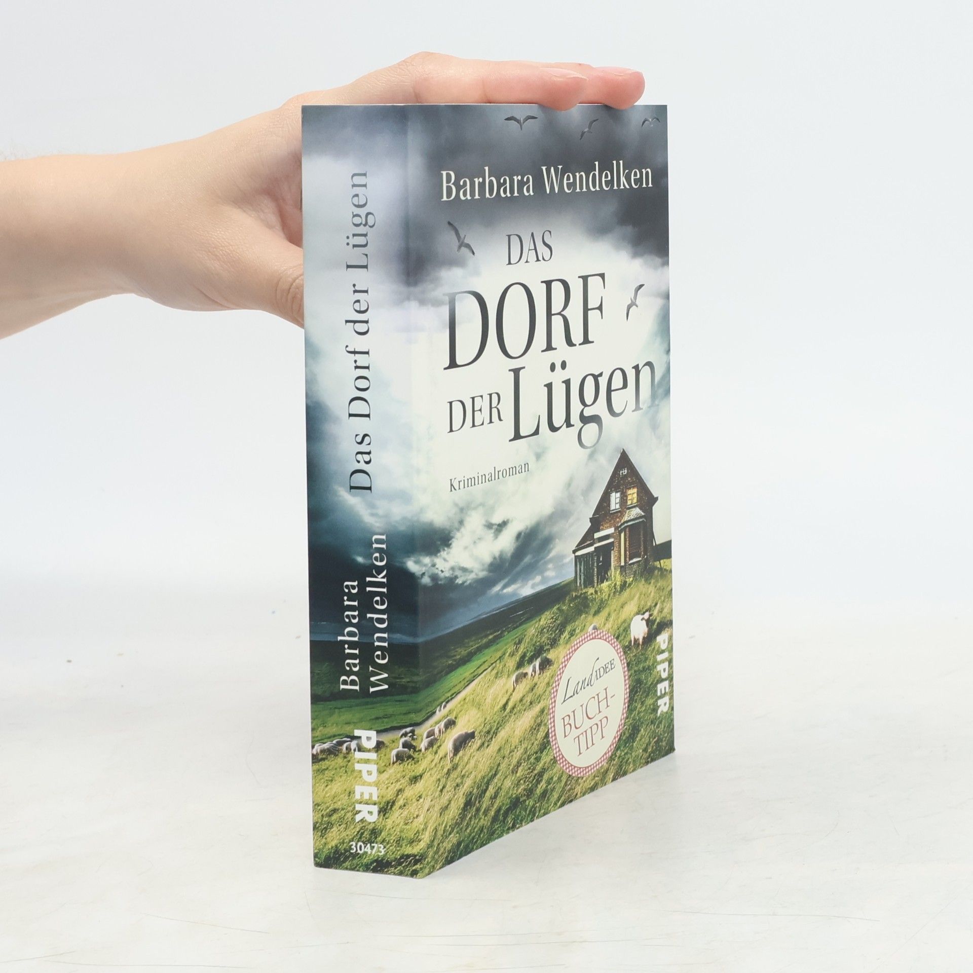 Barbara Wendelken Das Dorf der Lügen