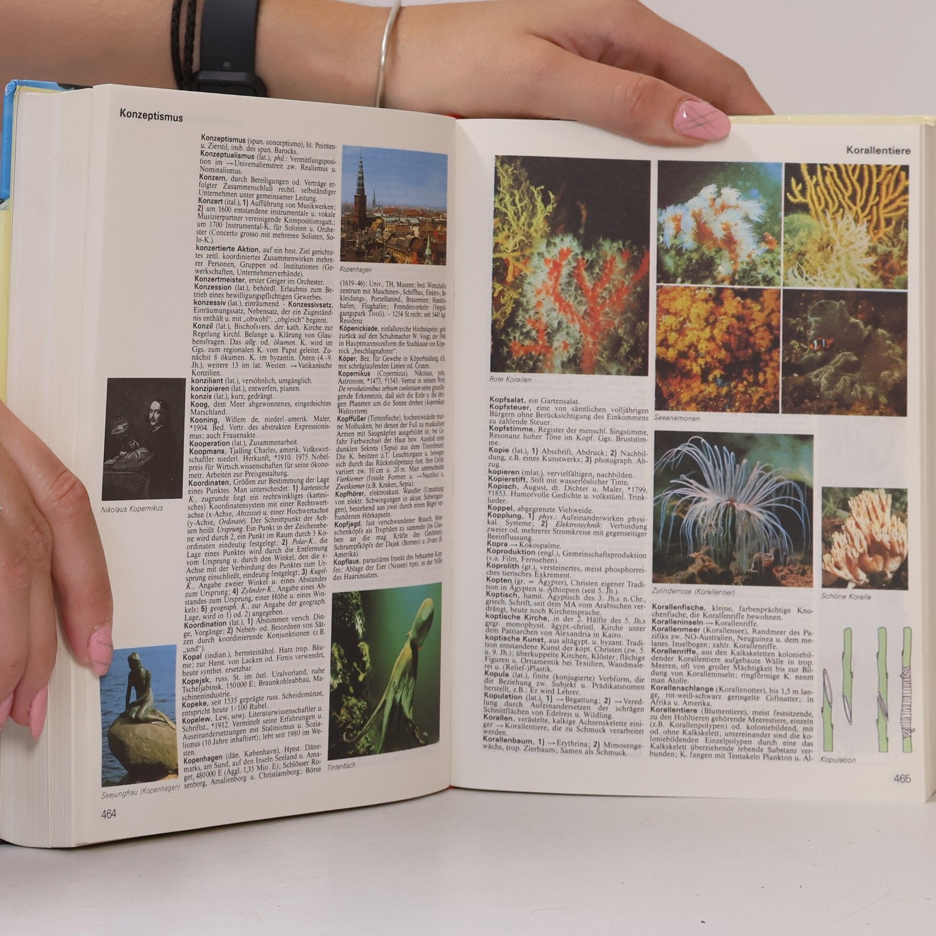 Various authors Neues Grosses Lexikon in Farbe. Von A-Z