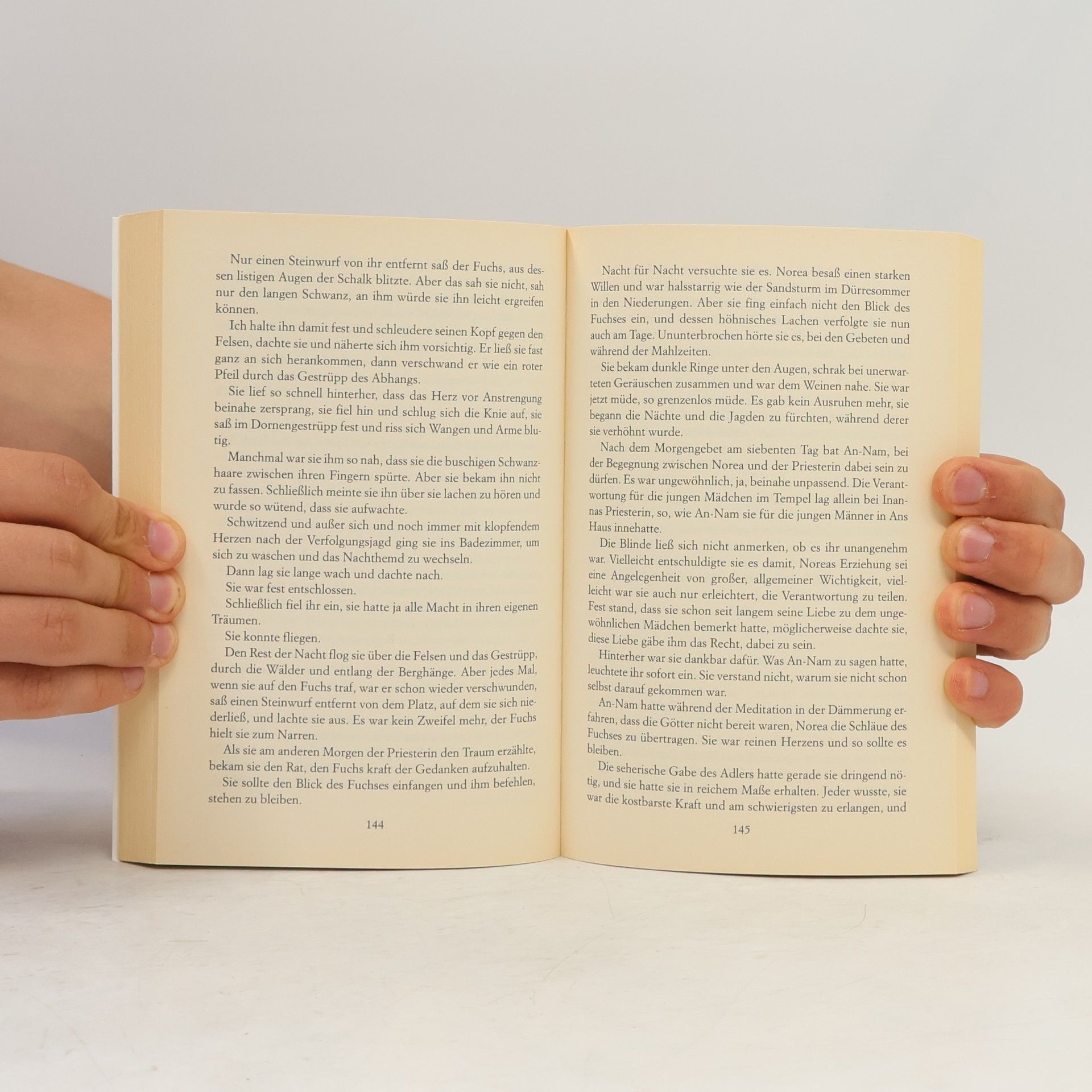 Marianne Fredriksson Noreas Geschichte