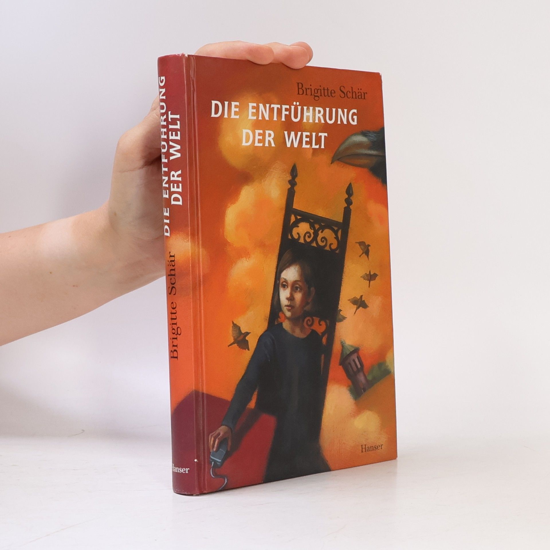 Brigitte Schär Die Entführung der Welt