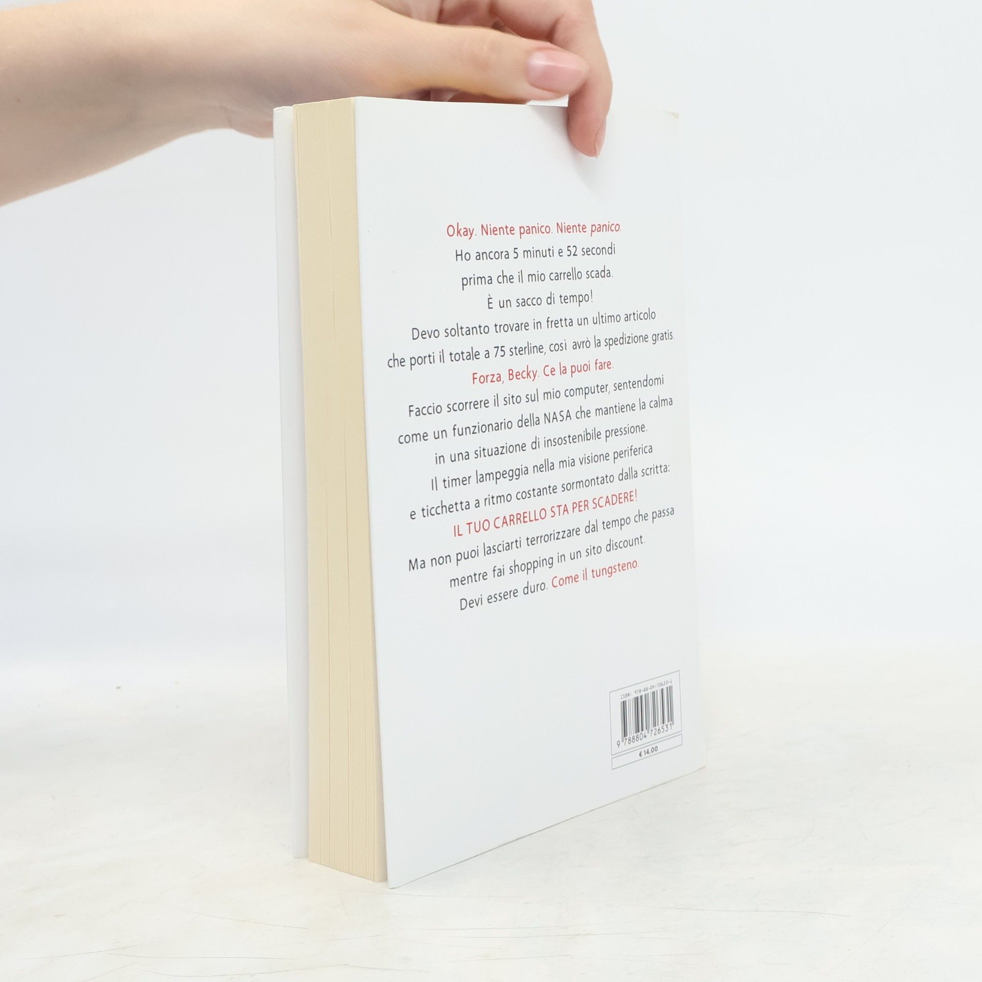 Sophie Kinsella I love shopping a Natale