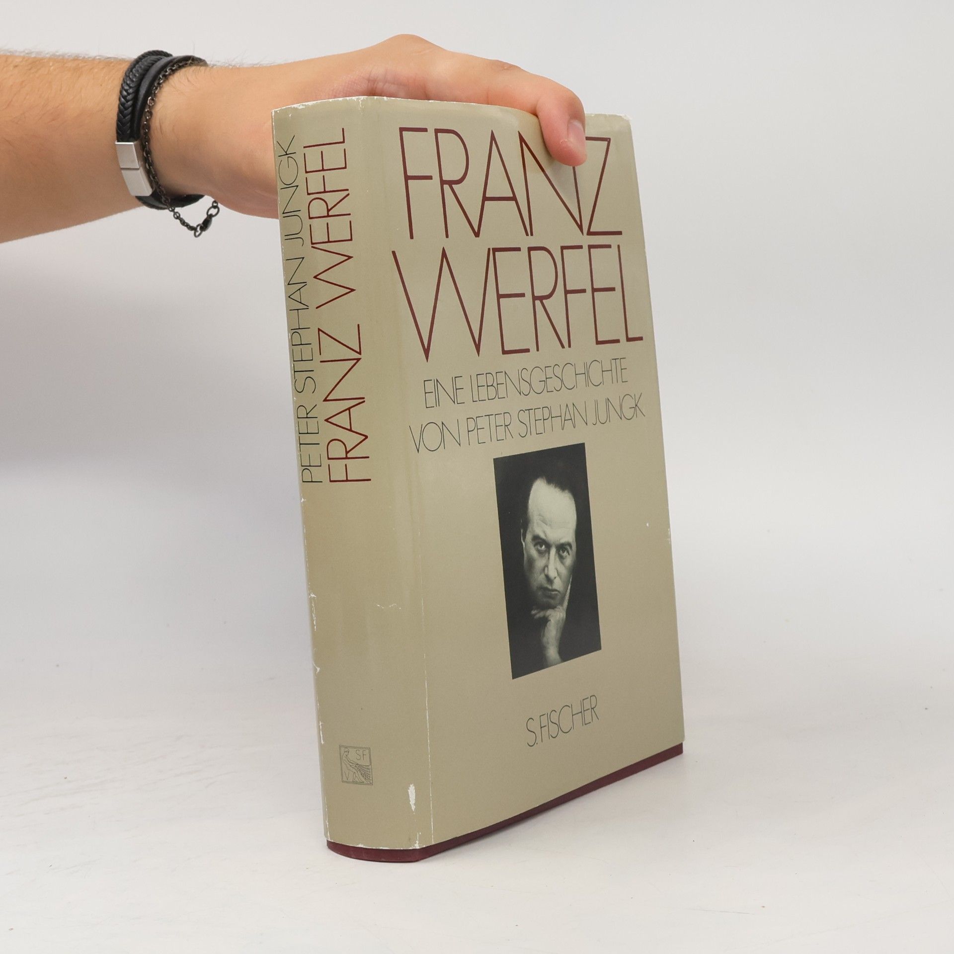 Peter Stephan Jungk Franz Werfel