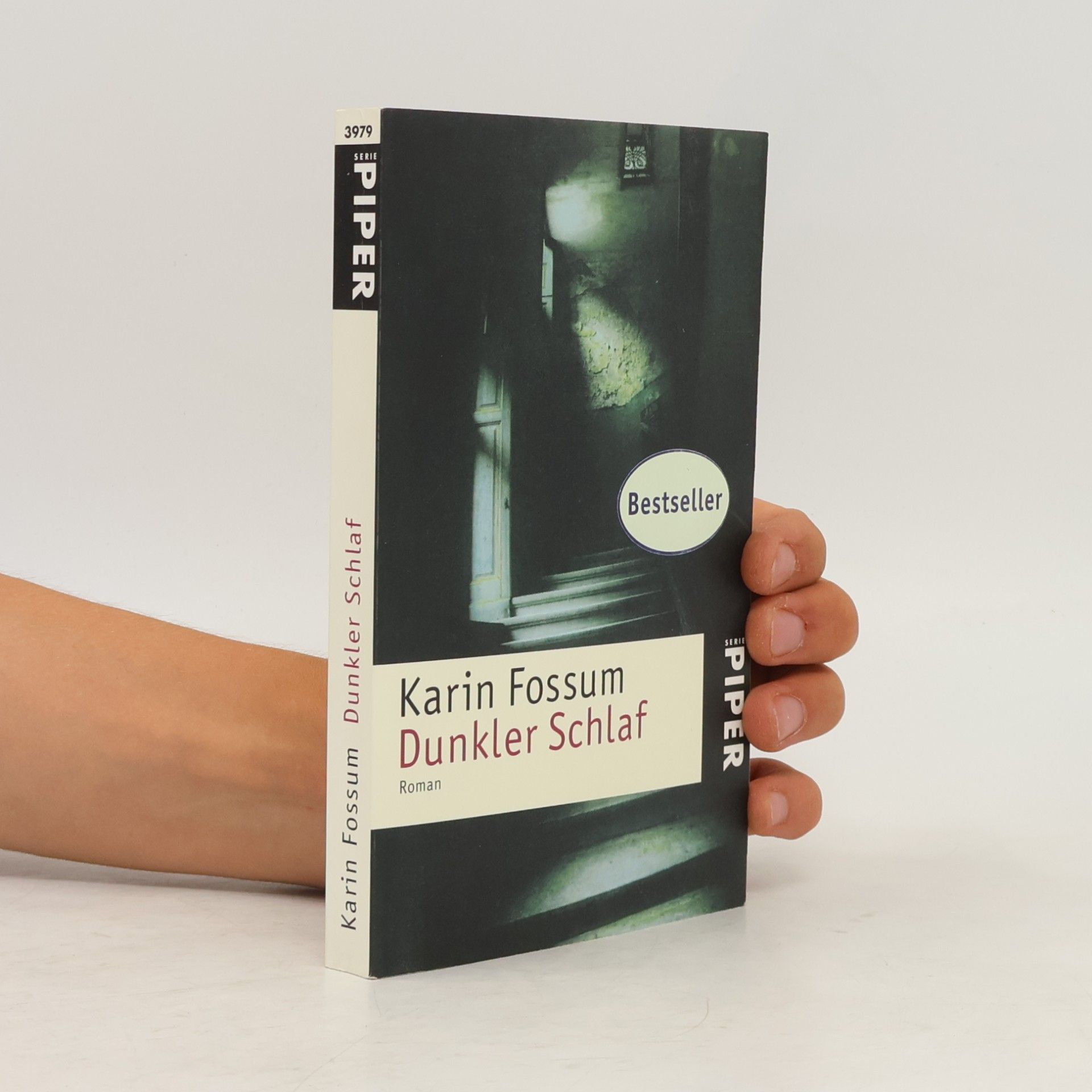 Karin Fossum Dunkler Schlaf