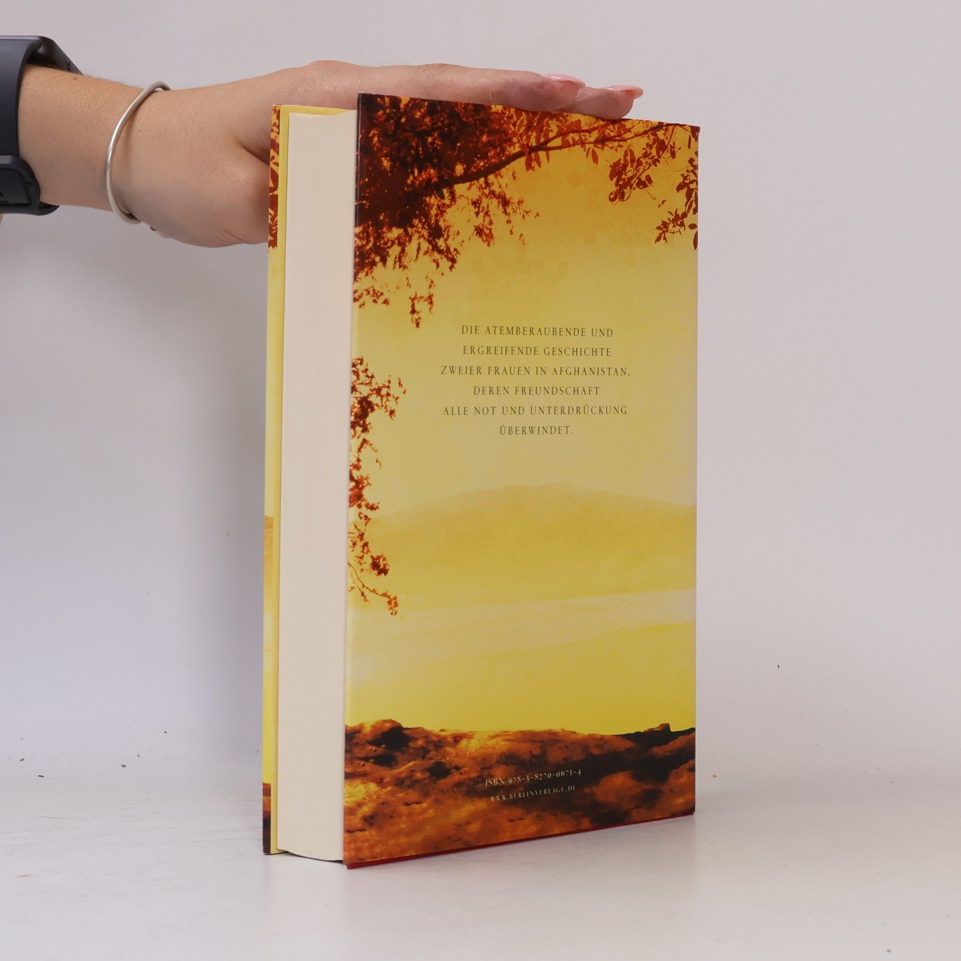 Khaled Hosseini Tausend strahlende Sonnen