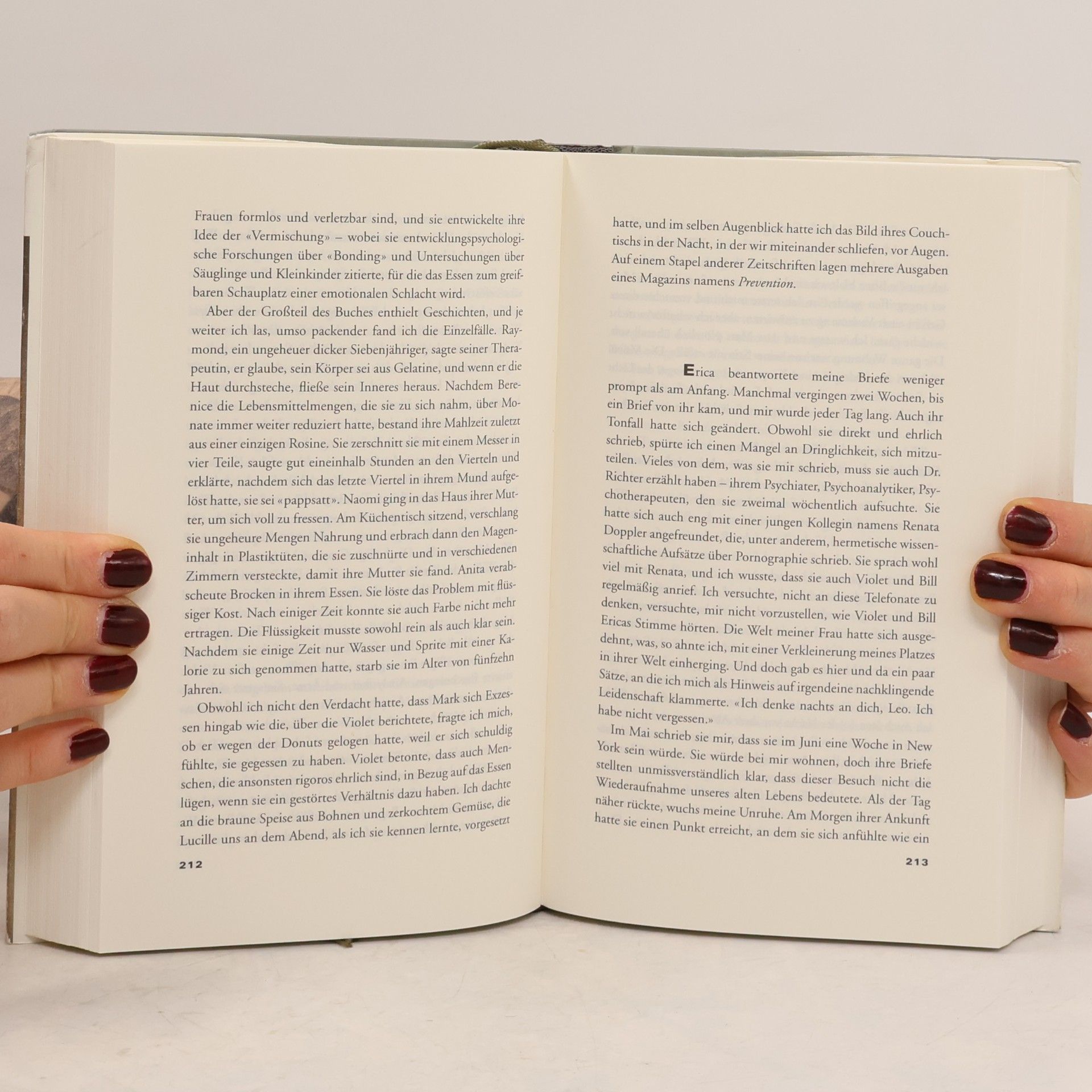 Siri Hustvedt Was ich liebte