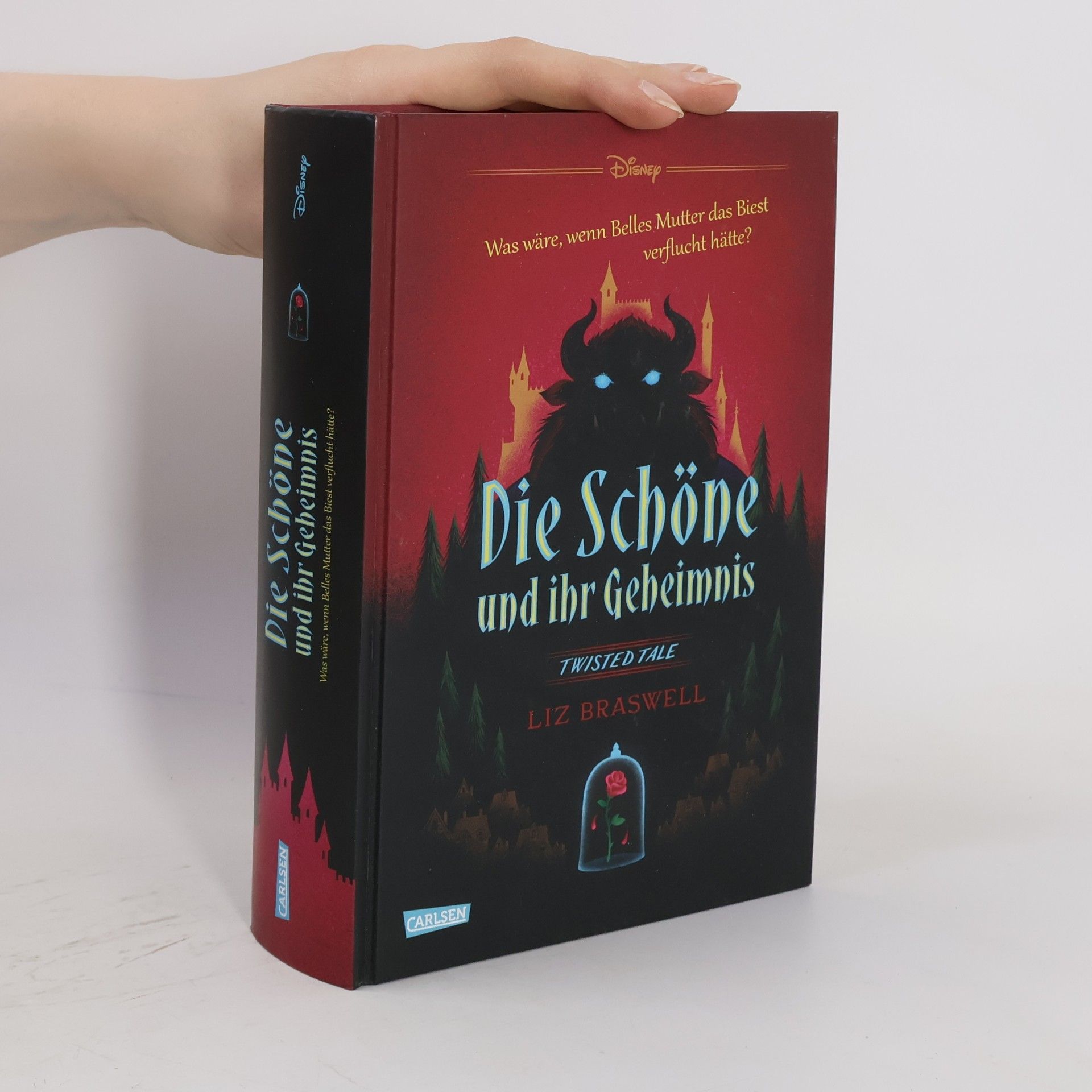 Elizabeth J. Braswell Die Schöne und ihr Geheimnis