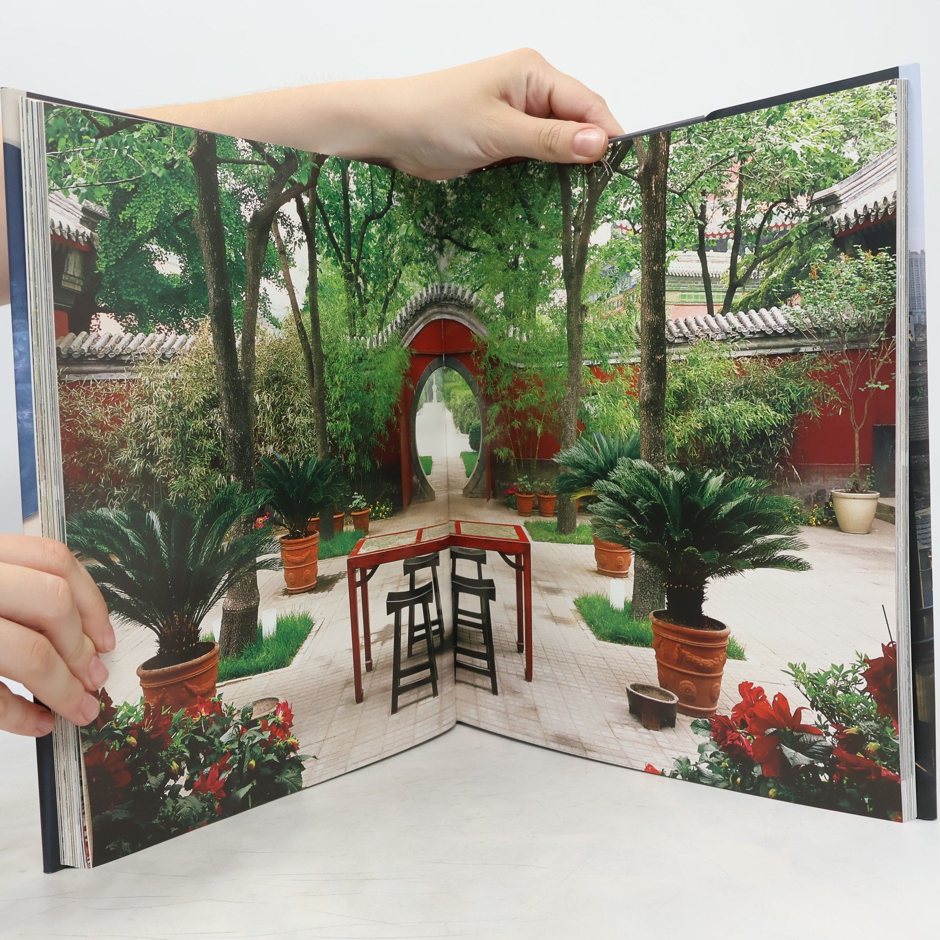 Reto Guntli Living in China