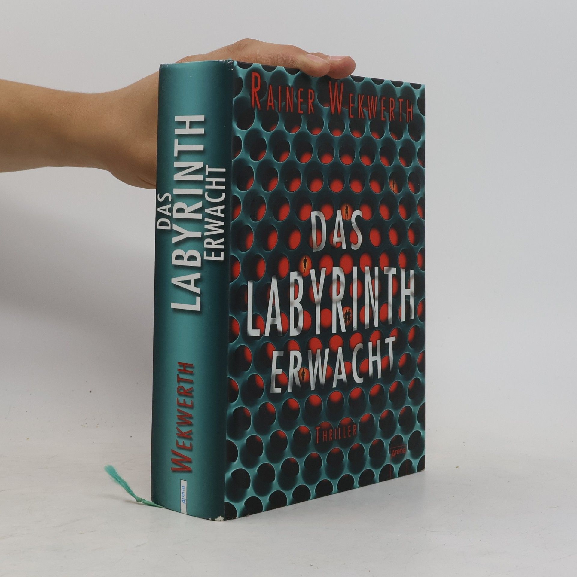 Rainer Wekwerth Das Labyrinth erwacht