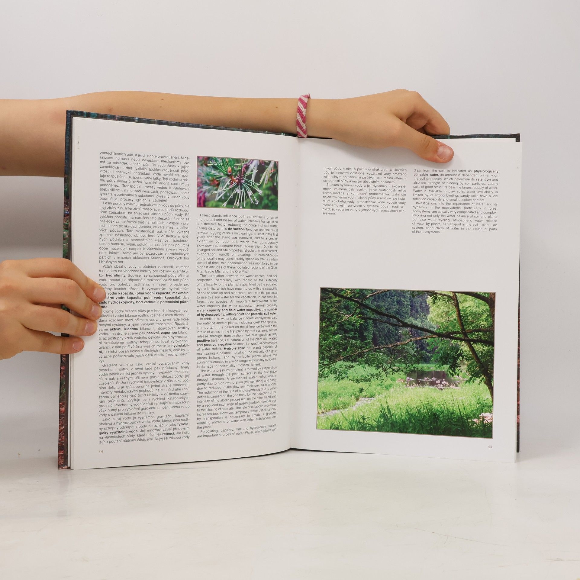 Karel Vančura Les a voda v srdci Evropy. Forest and water in the heart of Europe