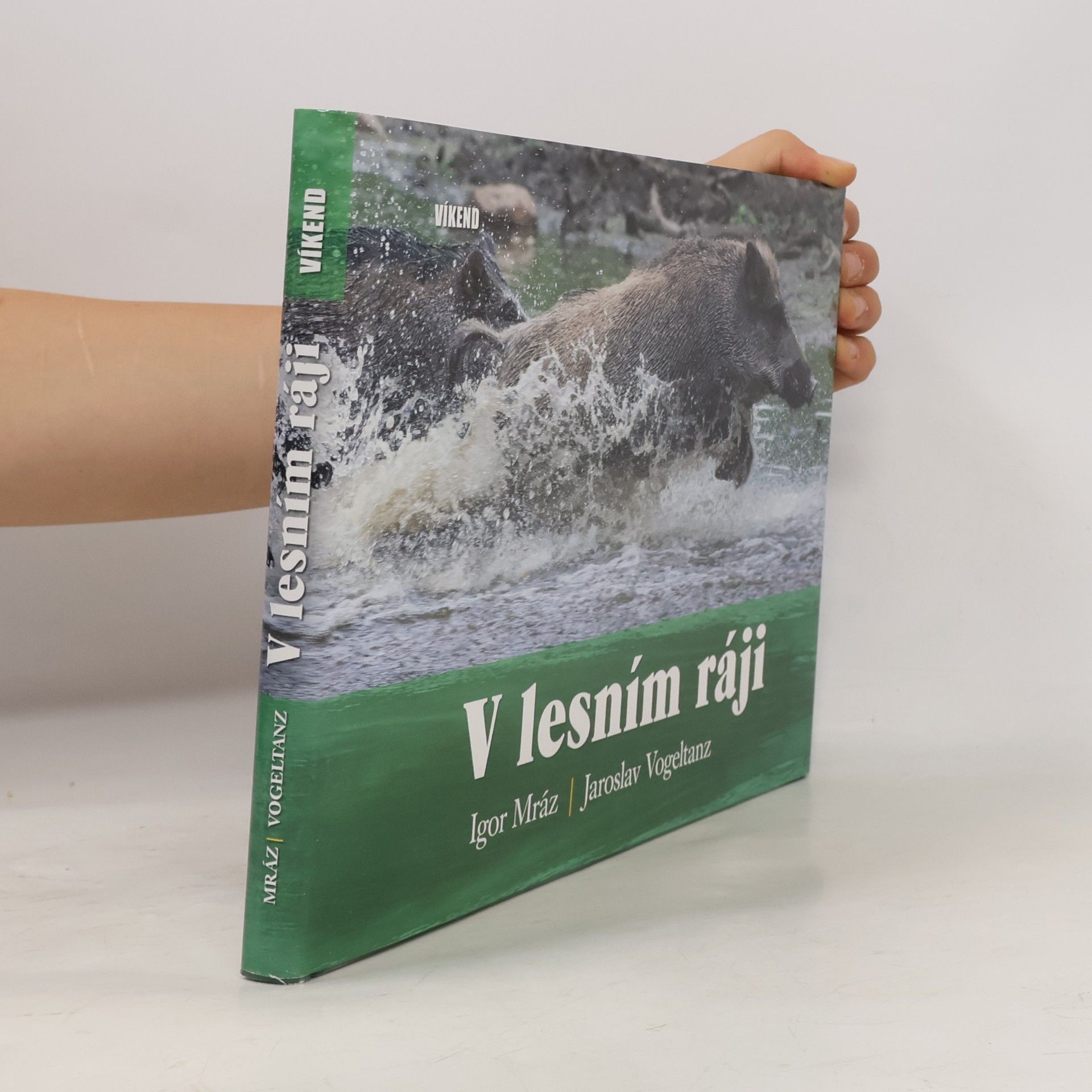 Jaroslav Vogeltanz V lesním ráji