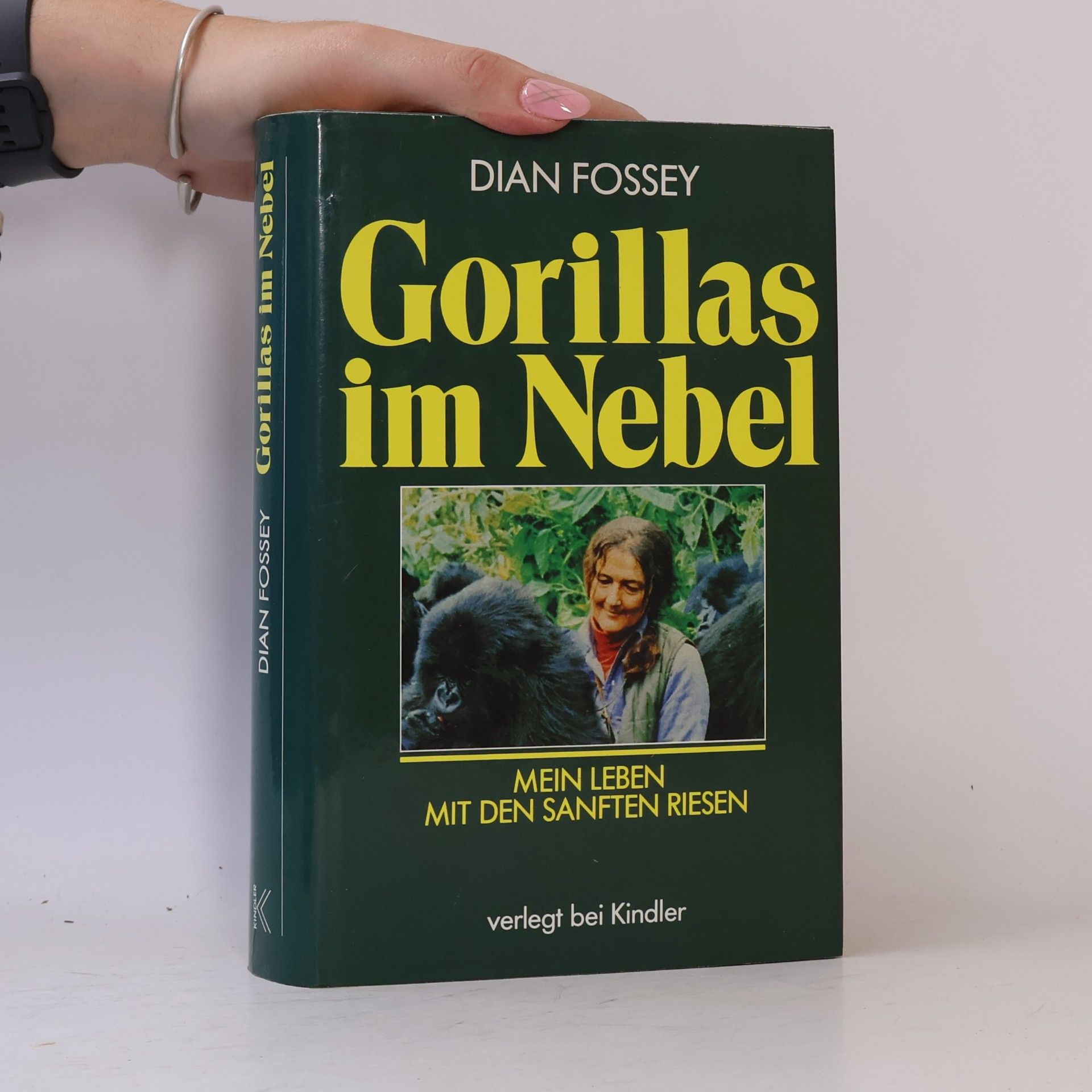 Dian Fossey Gorillas im Nebel