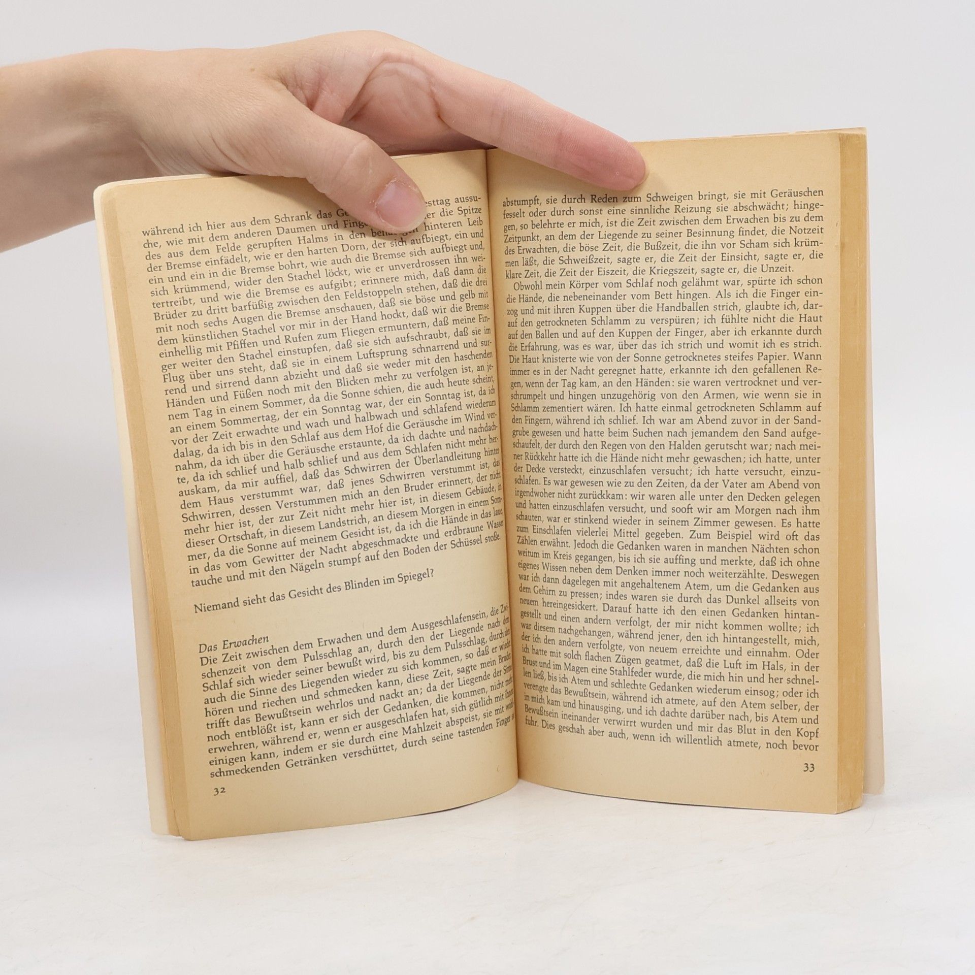 Peter Handke Die Hornissen