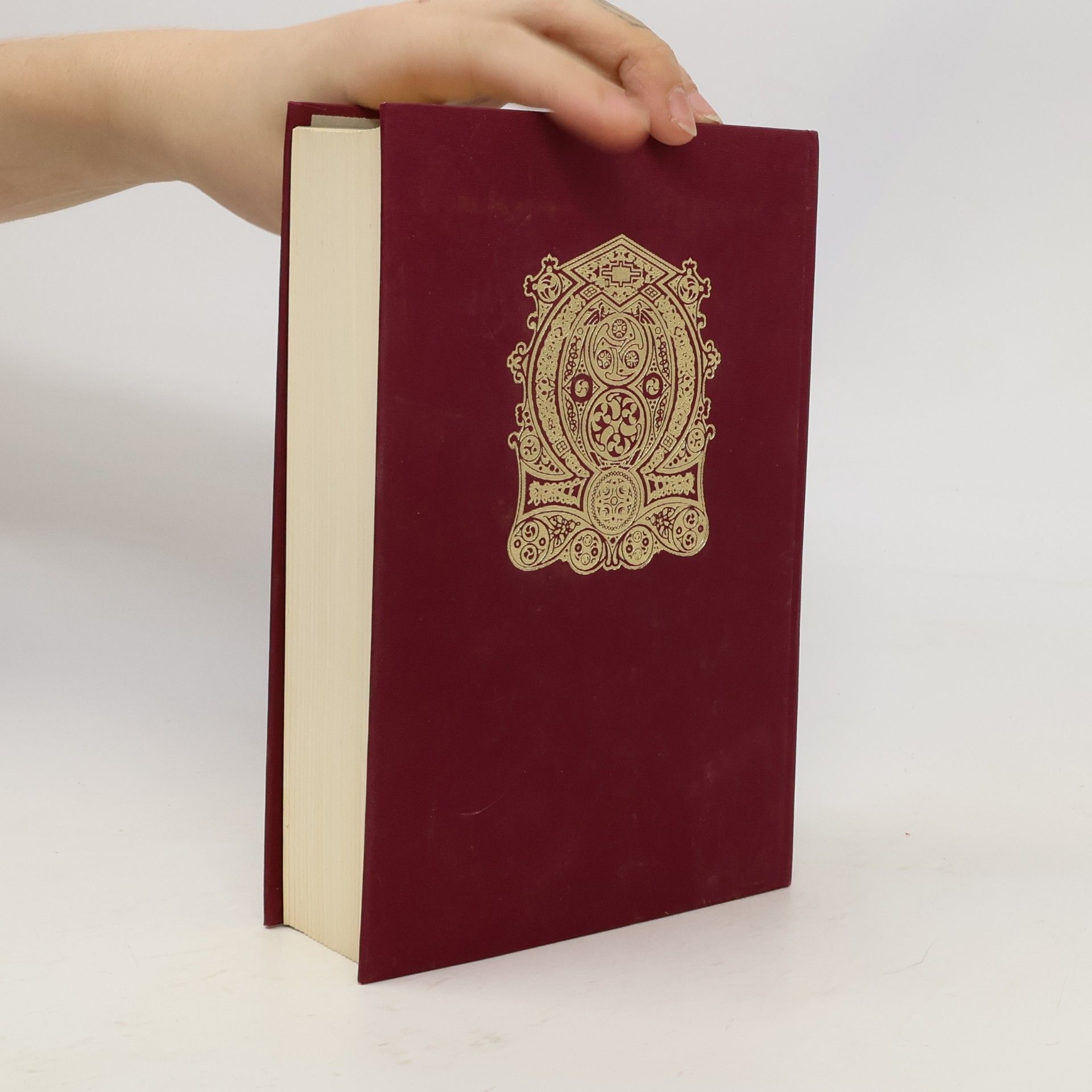 Kolektiv autorů Bible Die ganze Heilige Schrift des Alten und Neuen Testaments