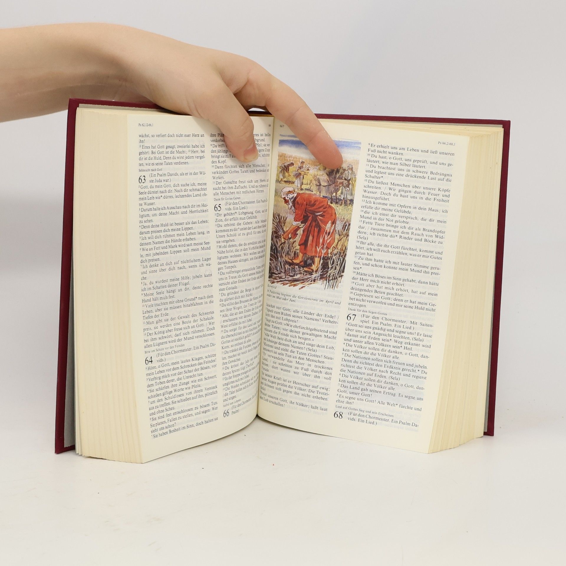 Kolektiv autorů Bible Die ganze Heilige Schrift des Alten und Neuen Testaments