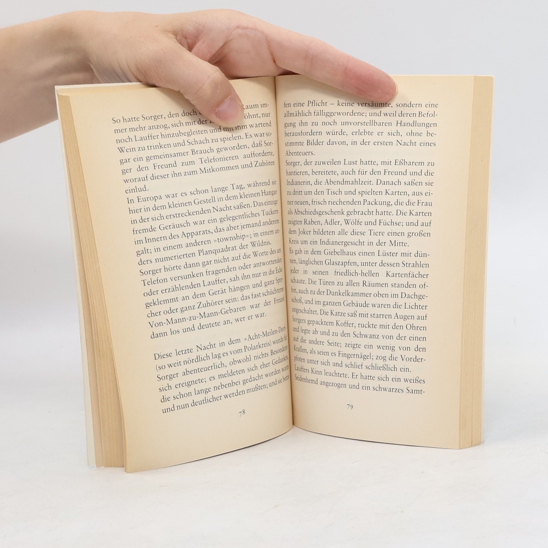 Peter Handke Langsame Heimkehr