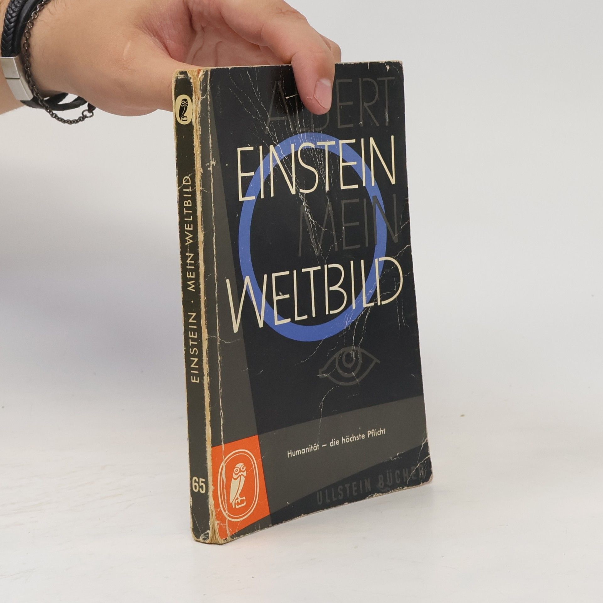 Albert Einstein Mein Weltbild