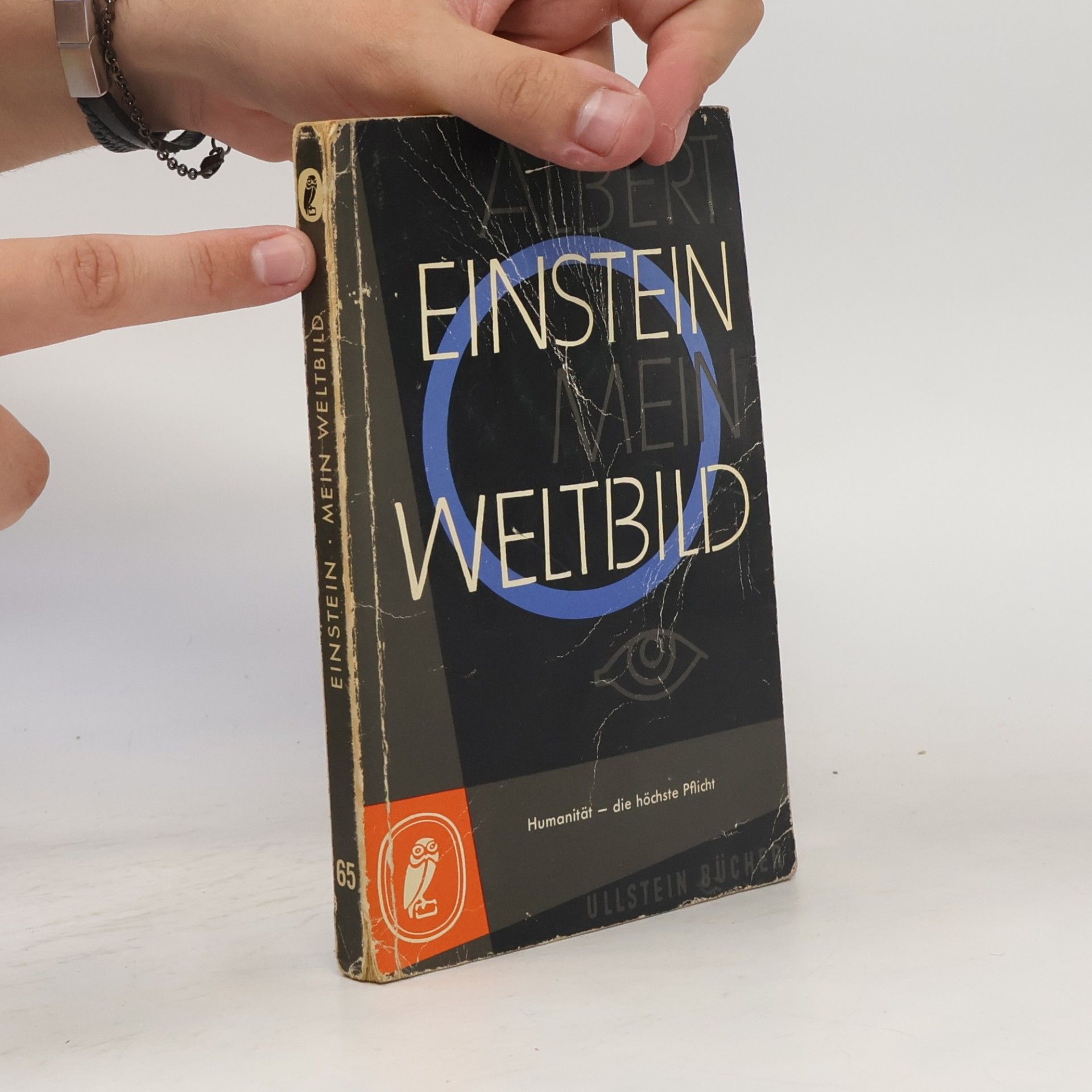 Albert Einstein Mein Weltbild