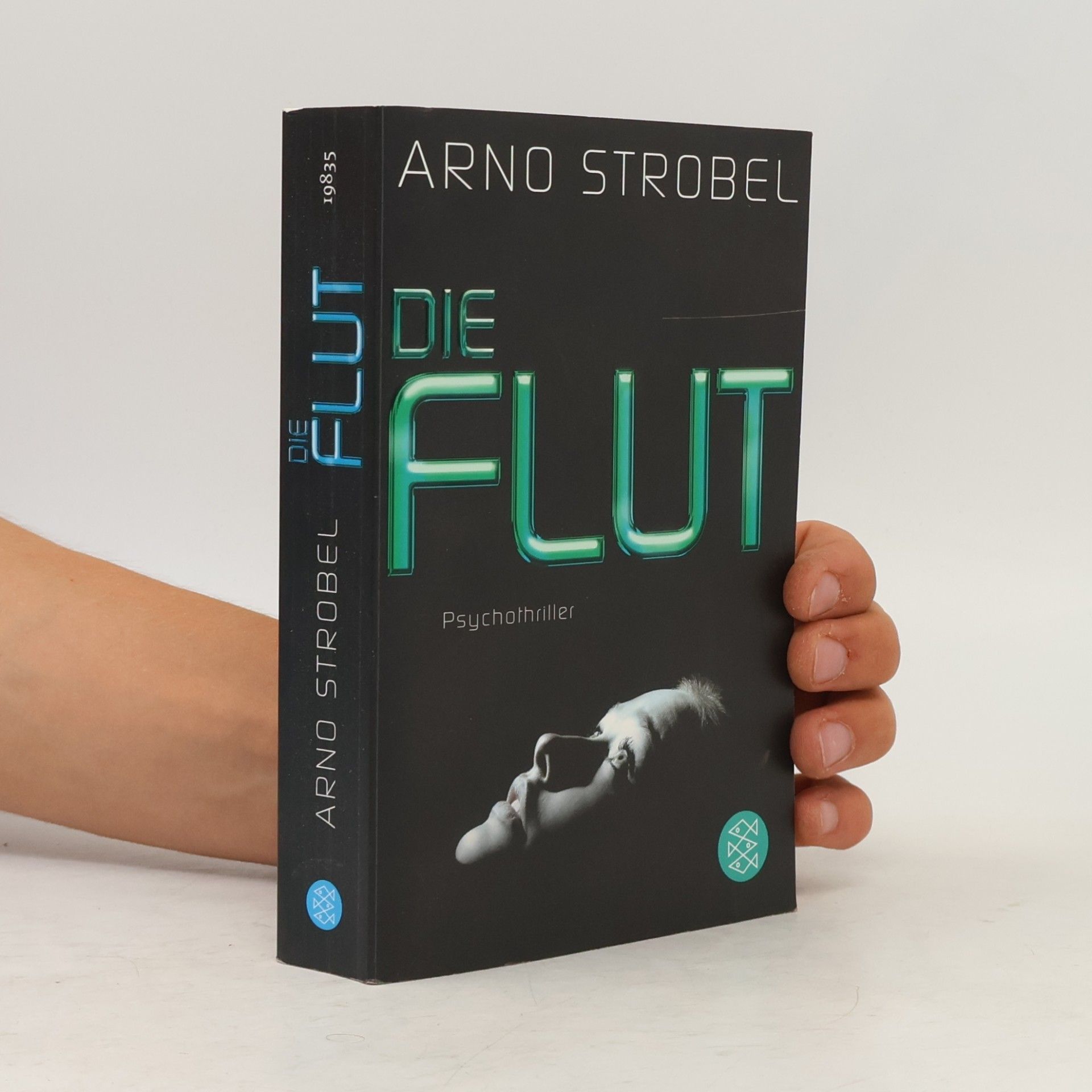 Arno Strobel Die Flut