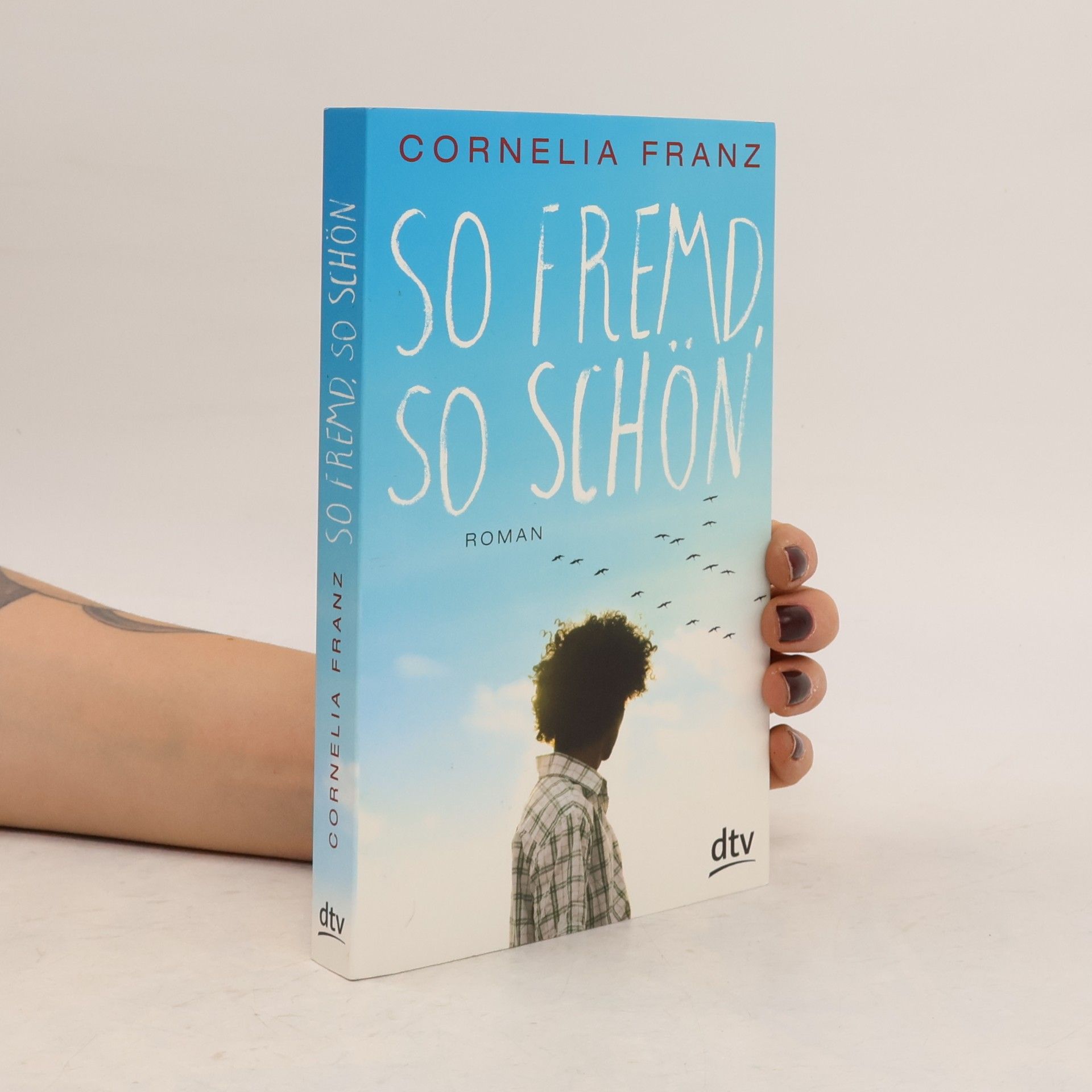 Cornelia Franz So fremd, so schön