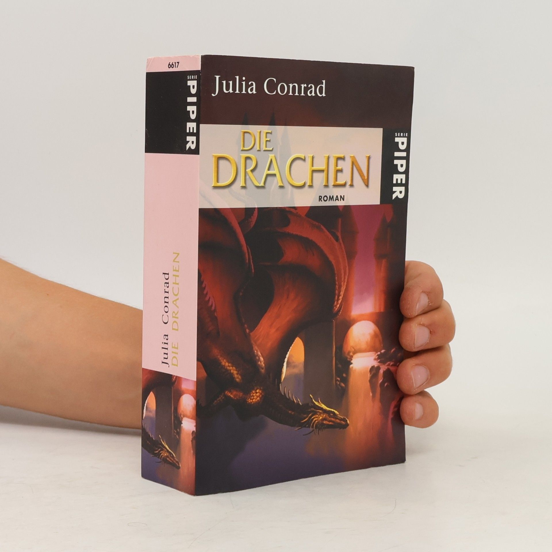 Julia Conrad Die Drachen