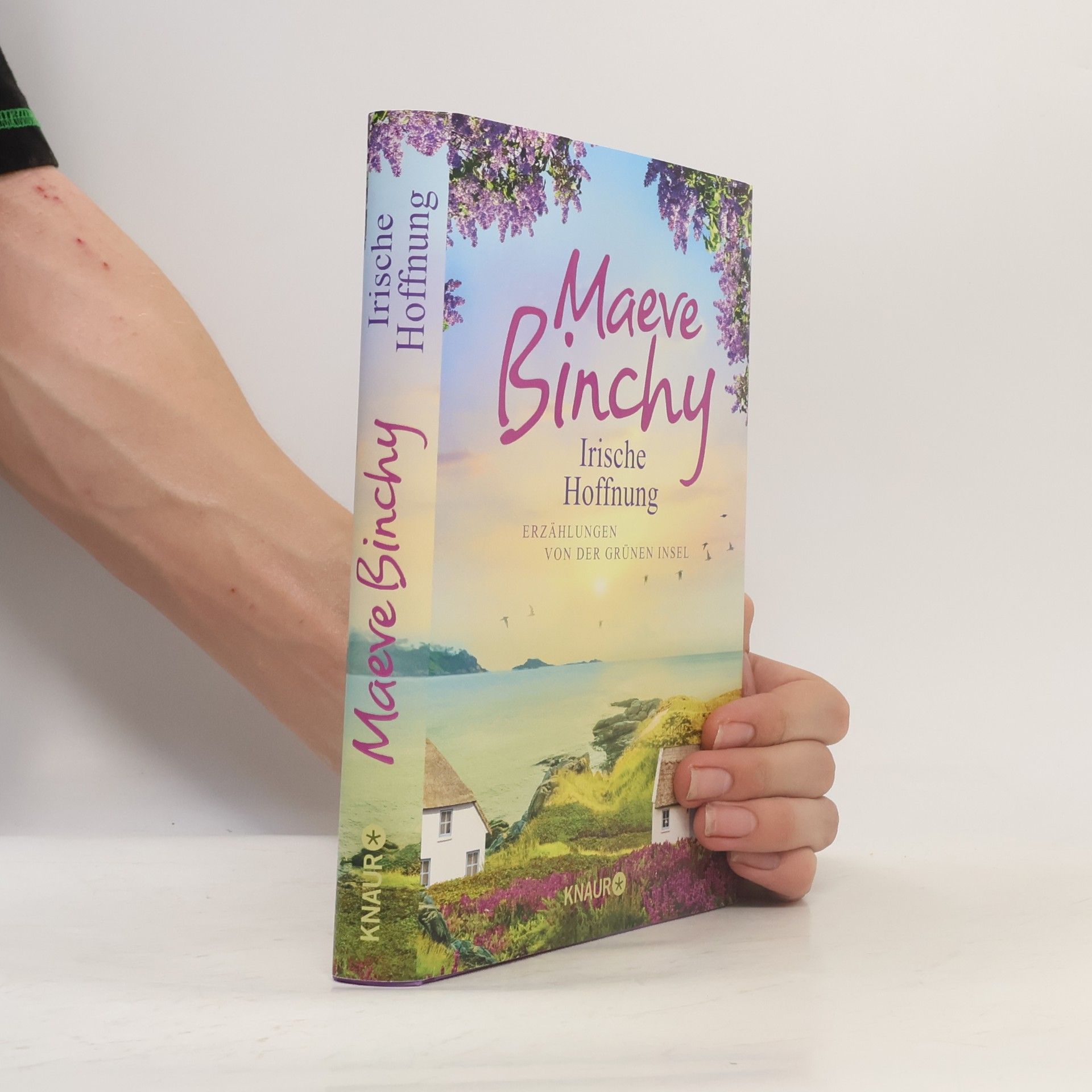Maeve Binchy Irische Hoffnung