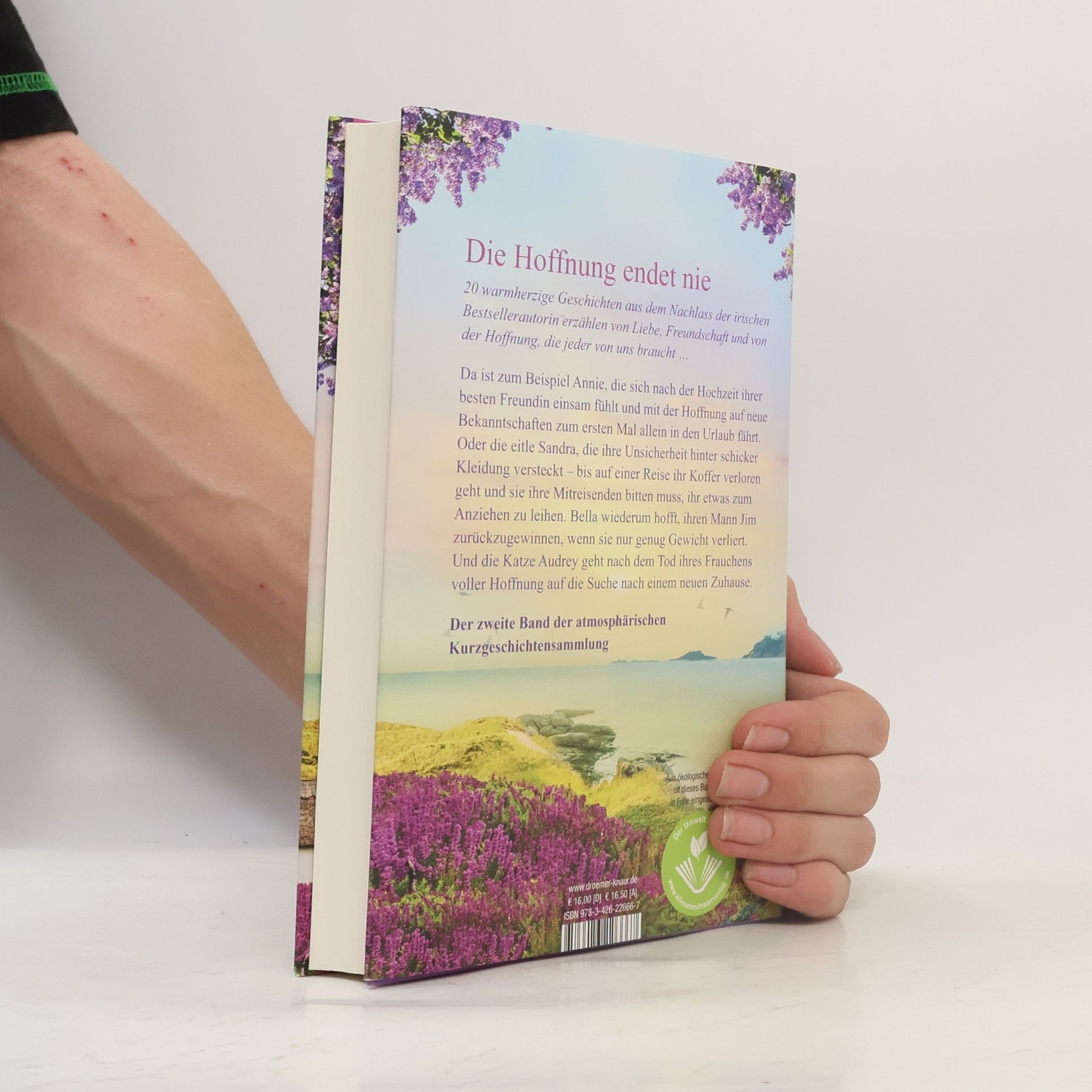 Maeve Binchy Irische Hoffnung