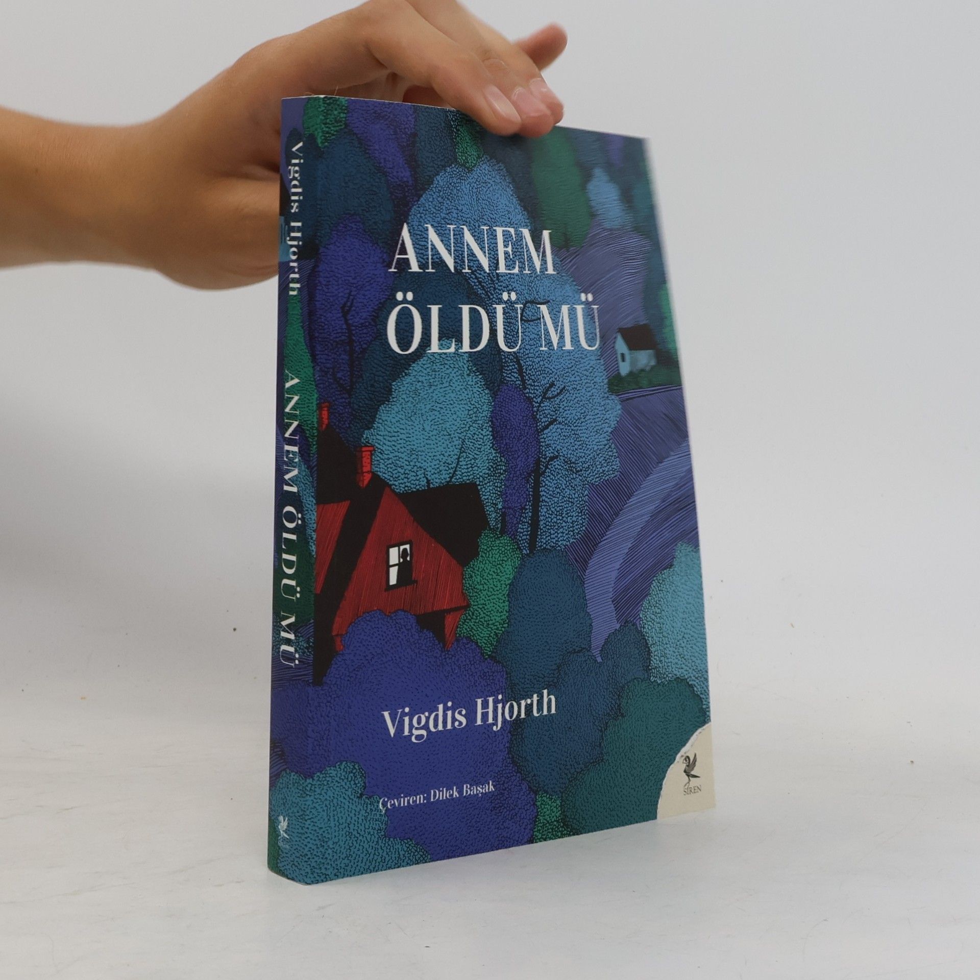 Dilek Başak Annem Öldü mü