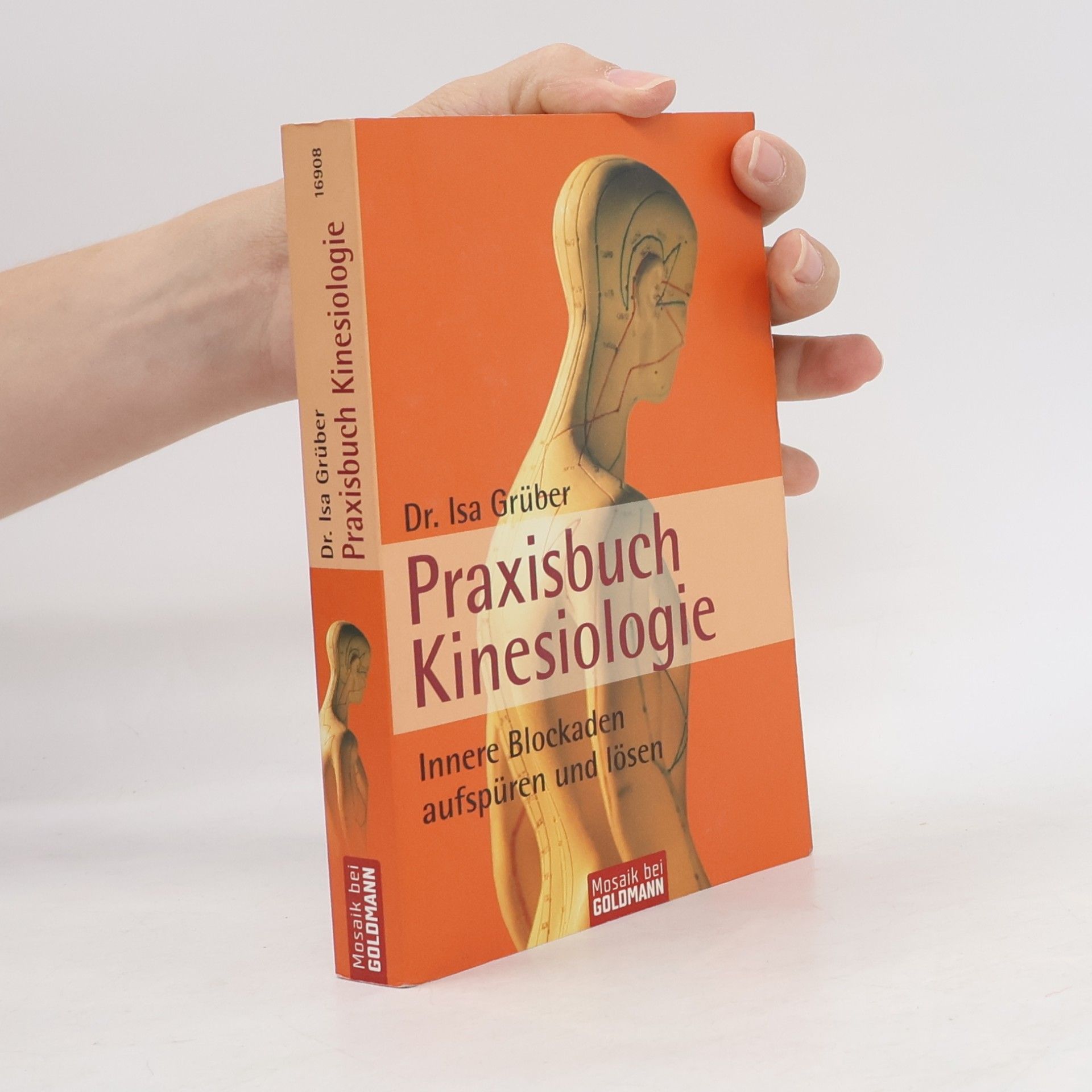Praxisbuch Kinesiologie
