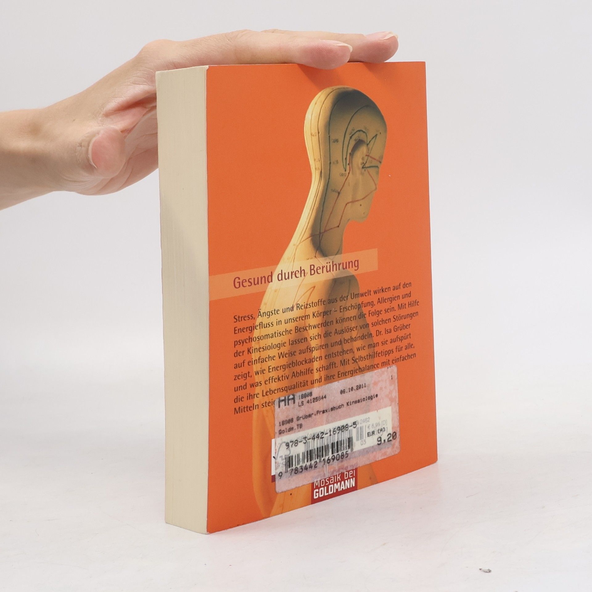 Isa Grüber Praxisbuch Kinesiologie