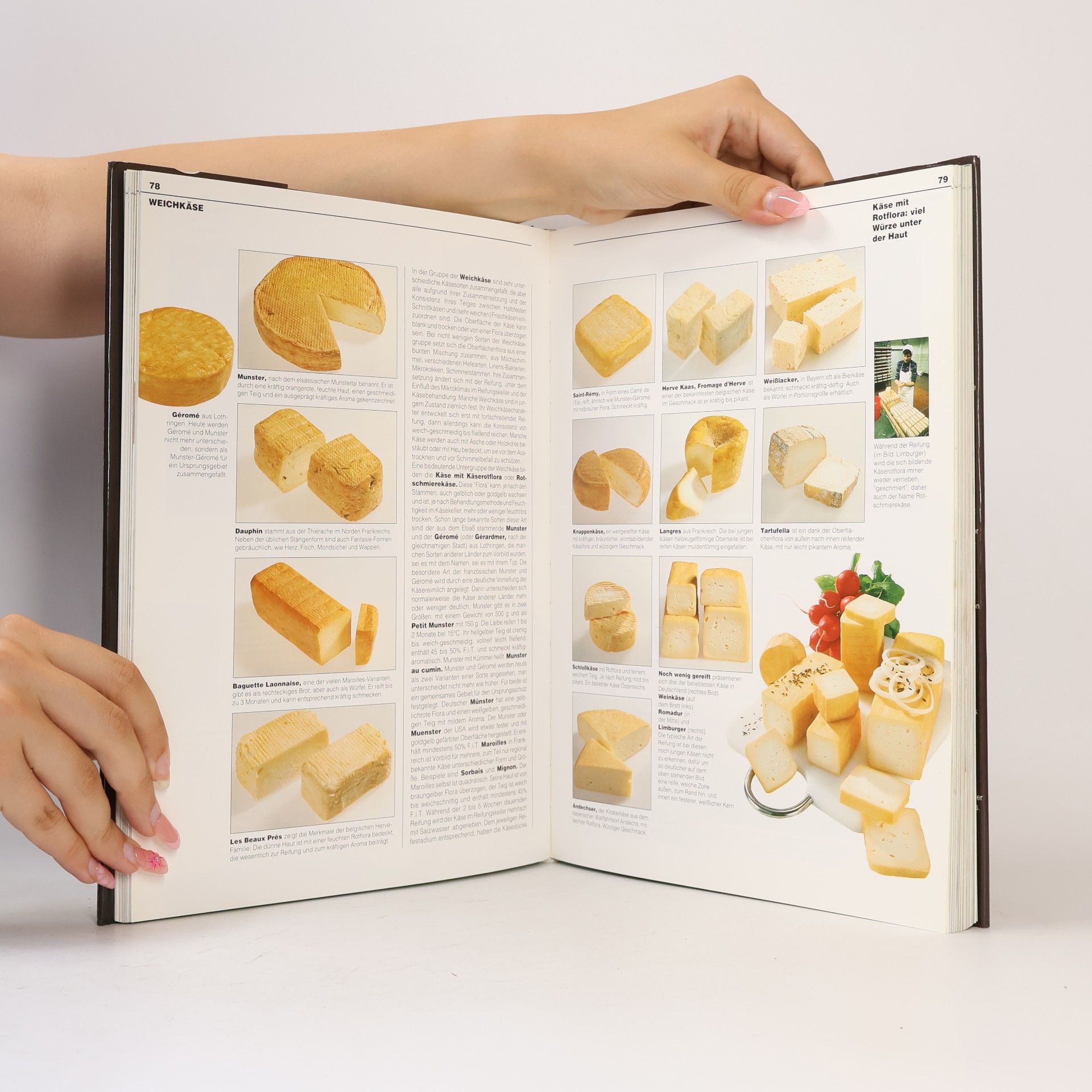 Christian Teubner Das grosse Buch vom Käse