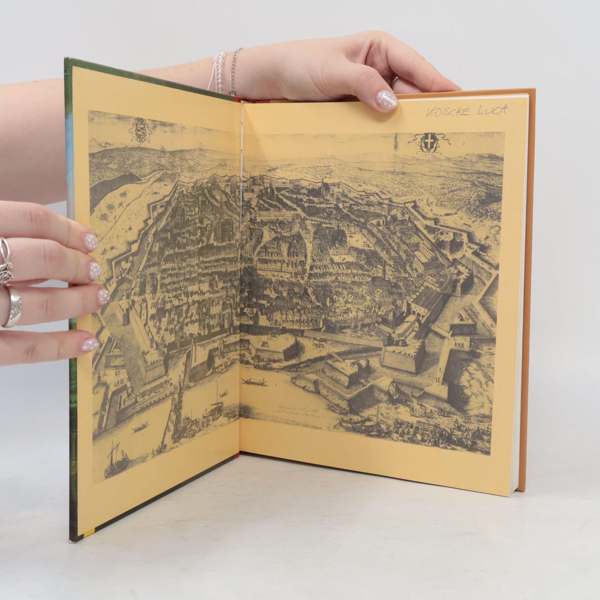 Reingard Witzmann Mein Wienbuch