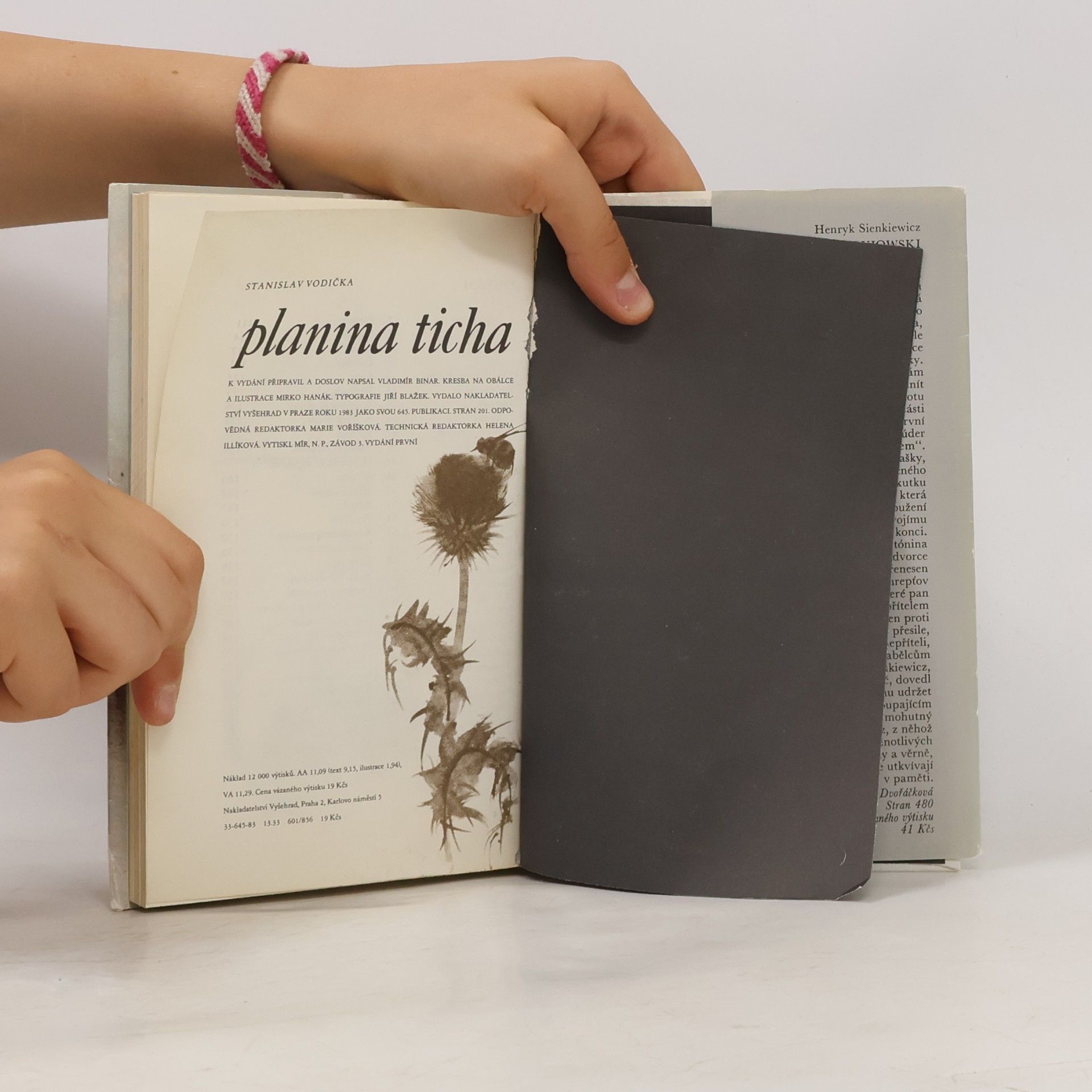 Stanislav Vodicka Planina ticha