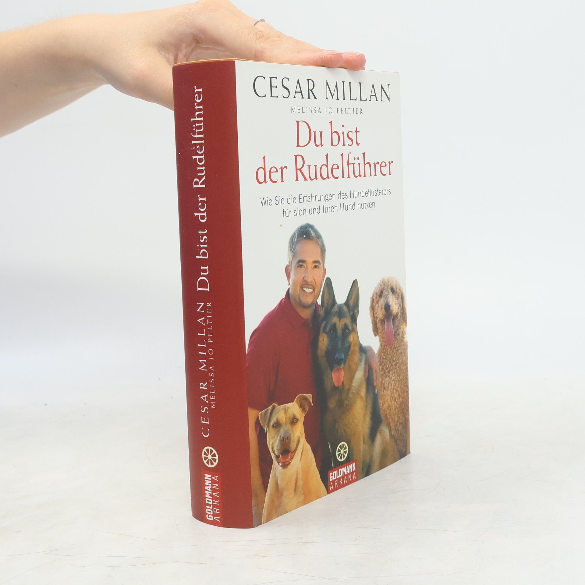 Cesar Millan Du bist der Rudelführer