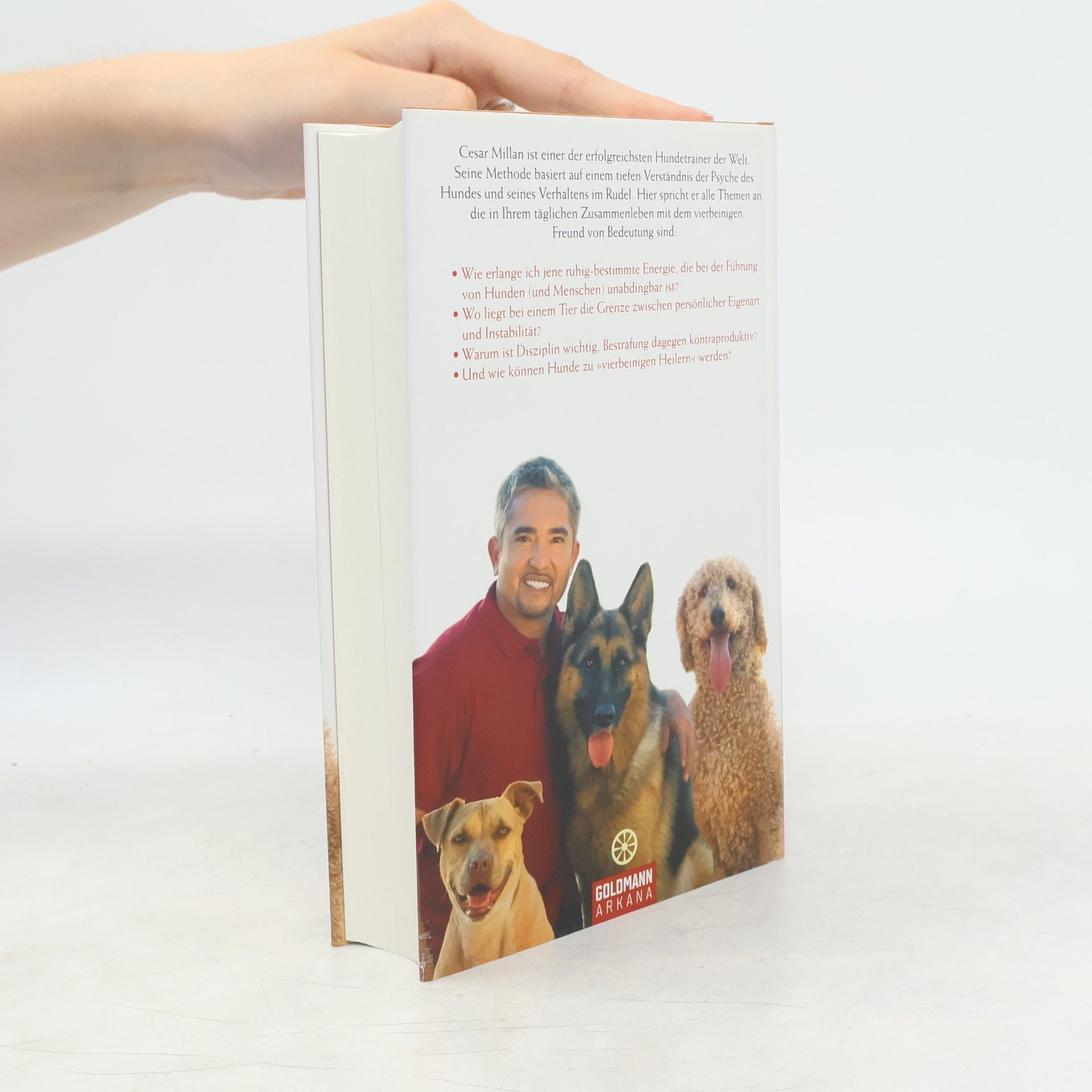Cesar Millan Du bist der Rudelführer
